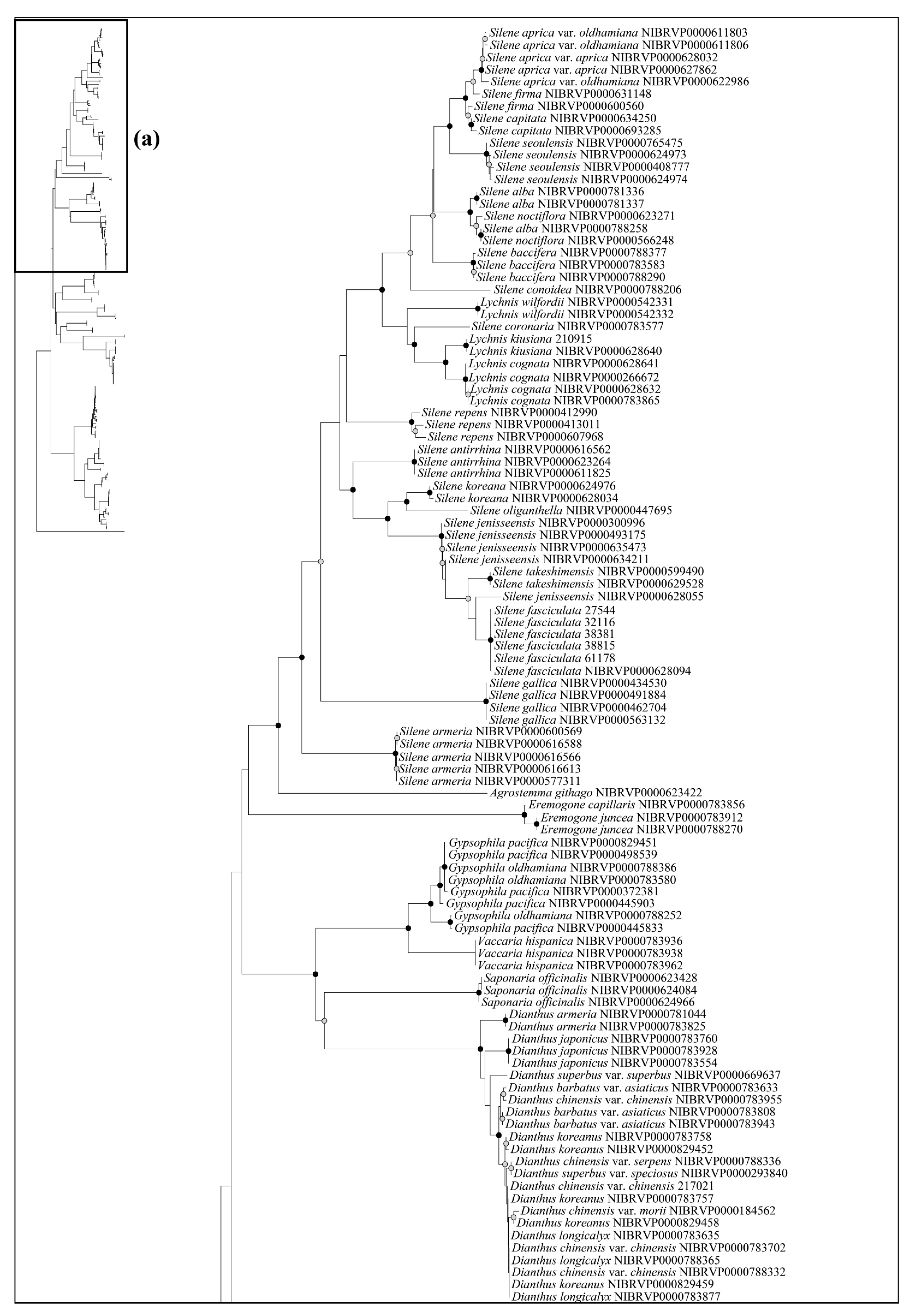Plants 12 02060 g003a