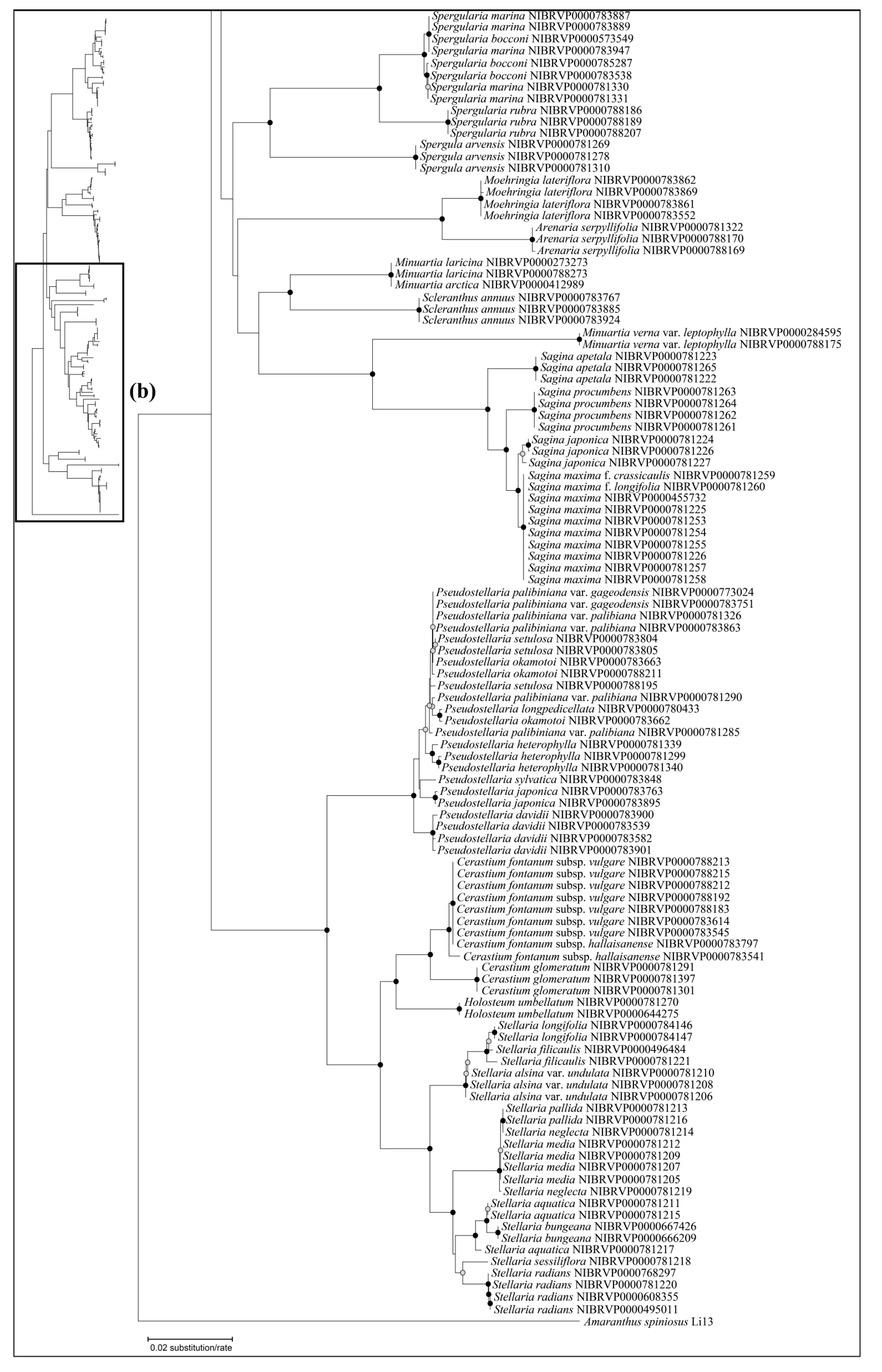 Plants 12 02060 g003b