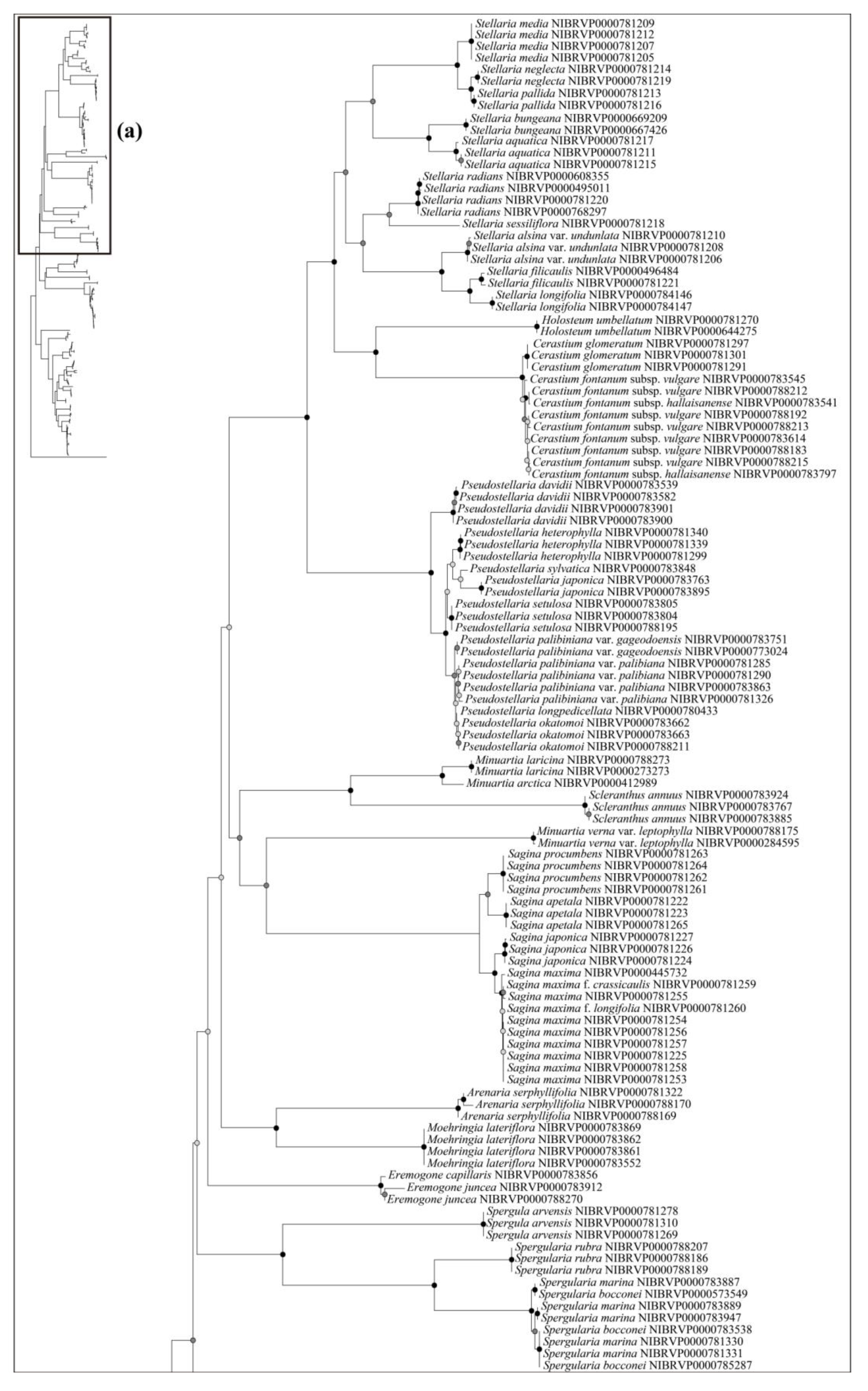Plants 12 02060 g004a