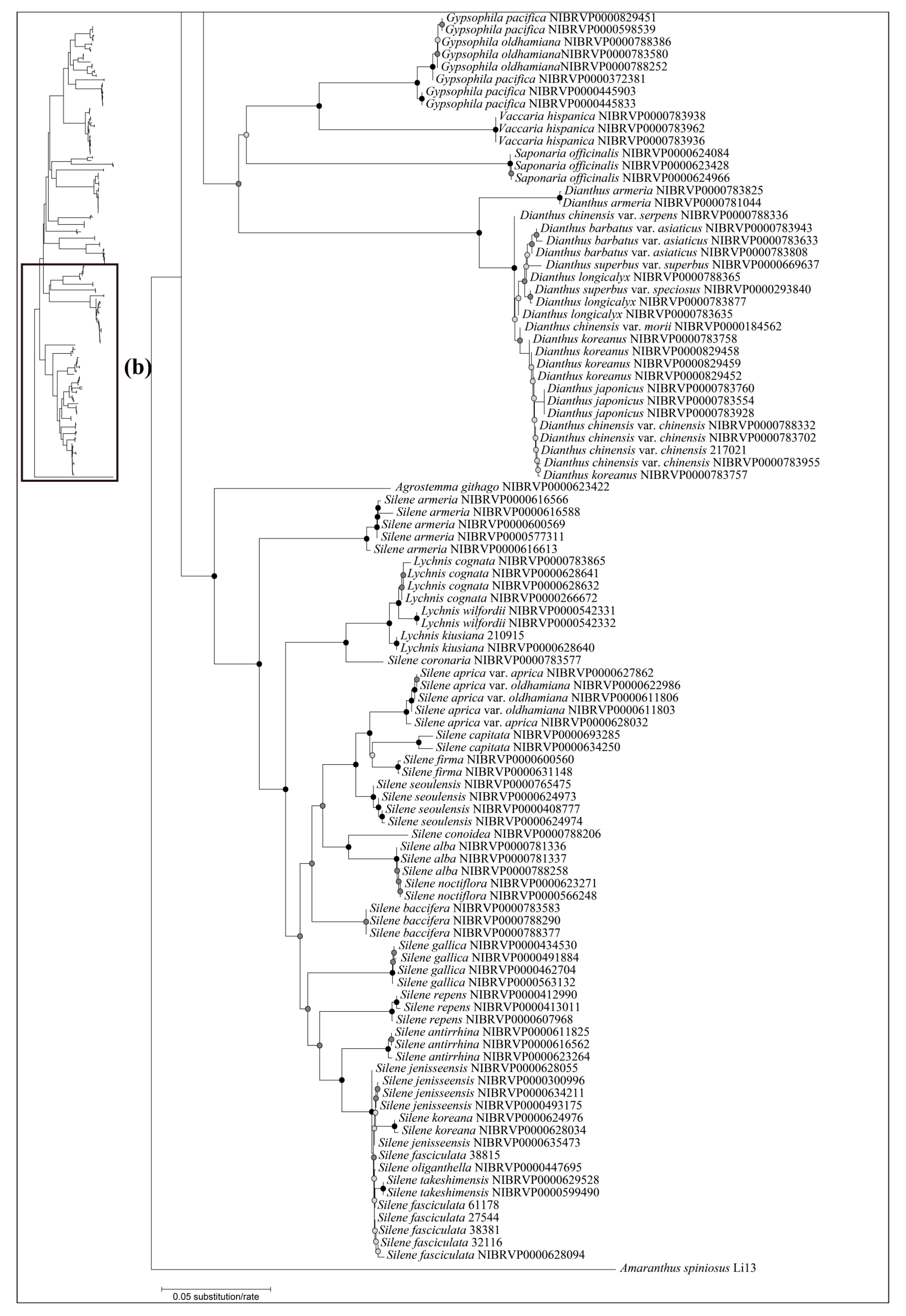 Plants 12 02060 g004b