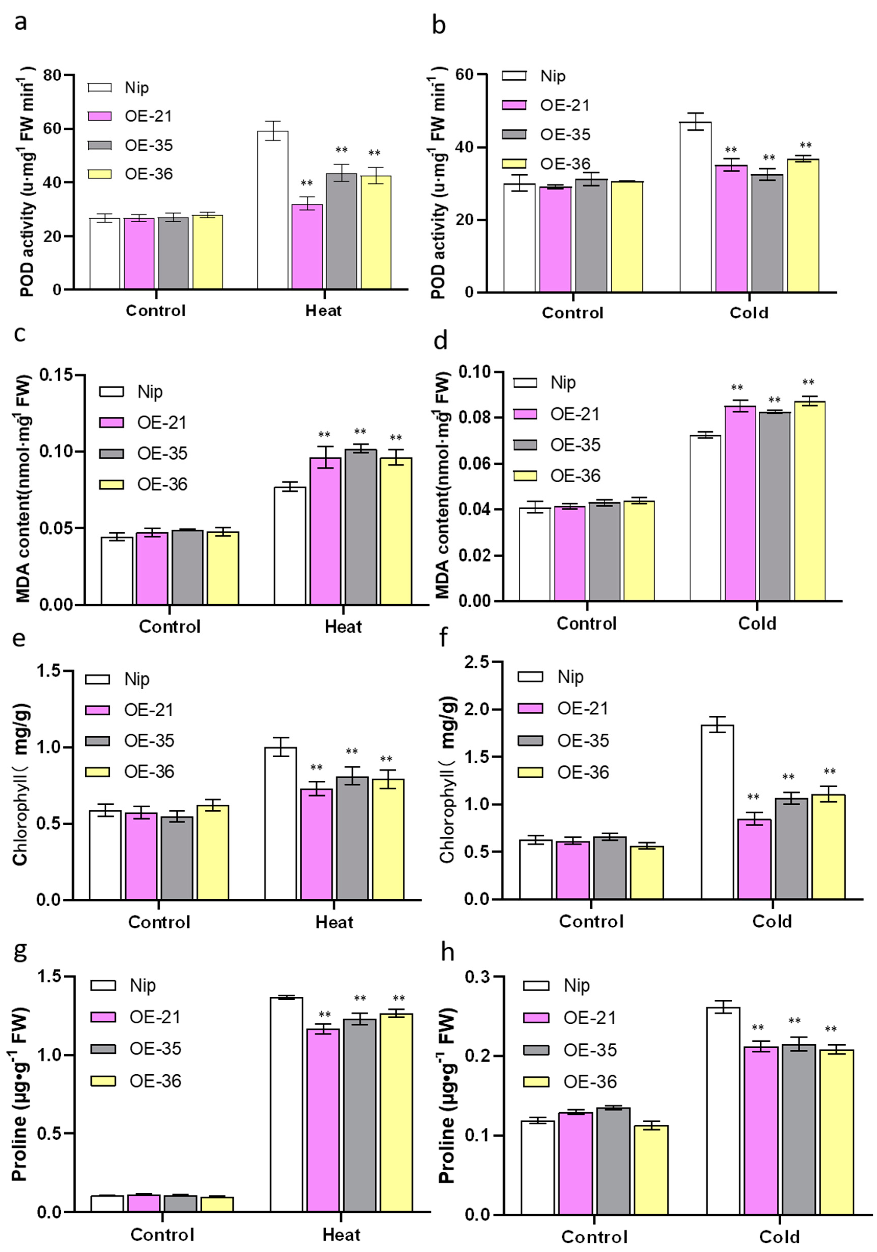 Plants 12 02408 g007
