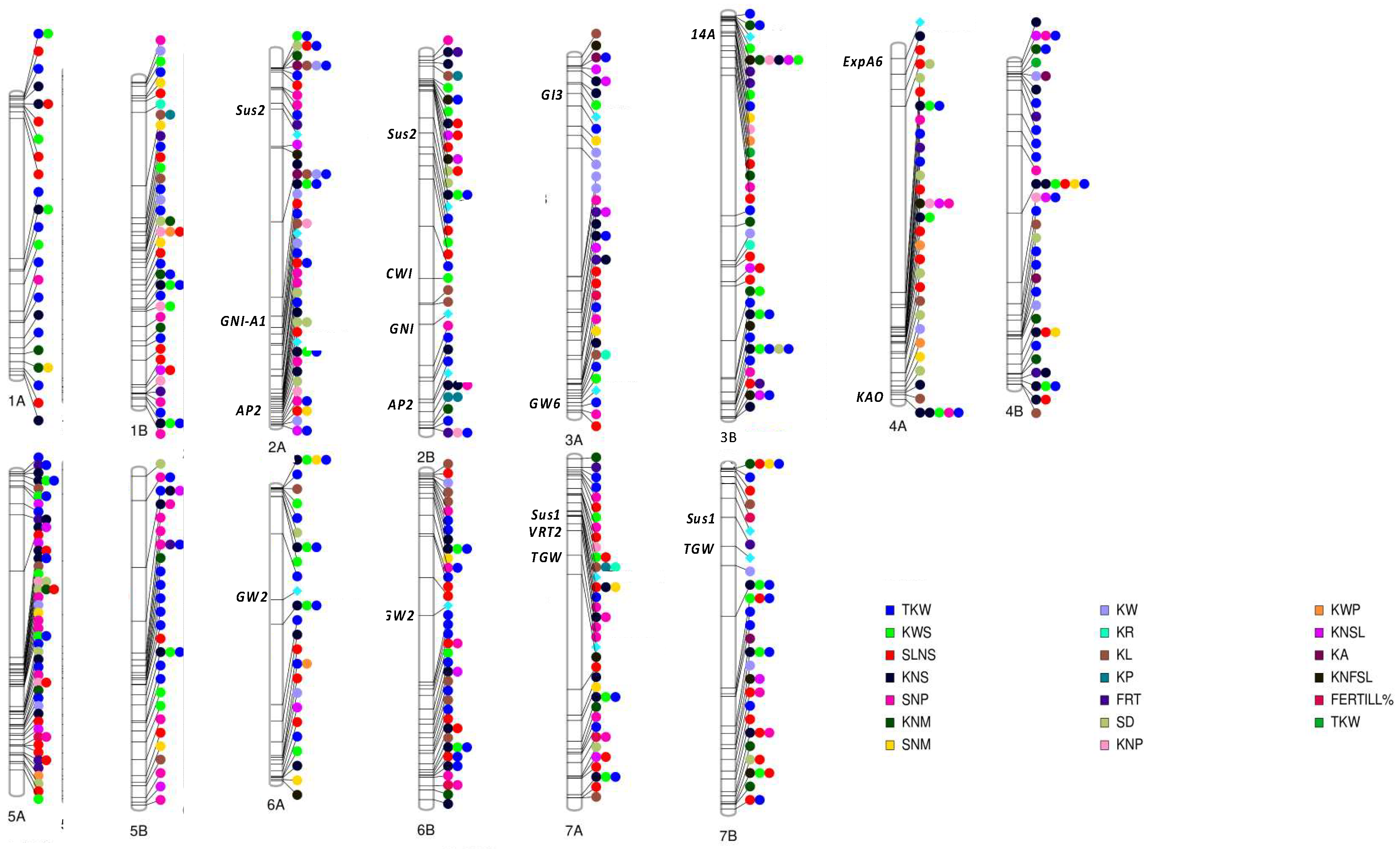 Plants 12 02571 g004