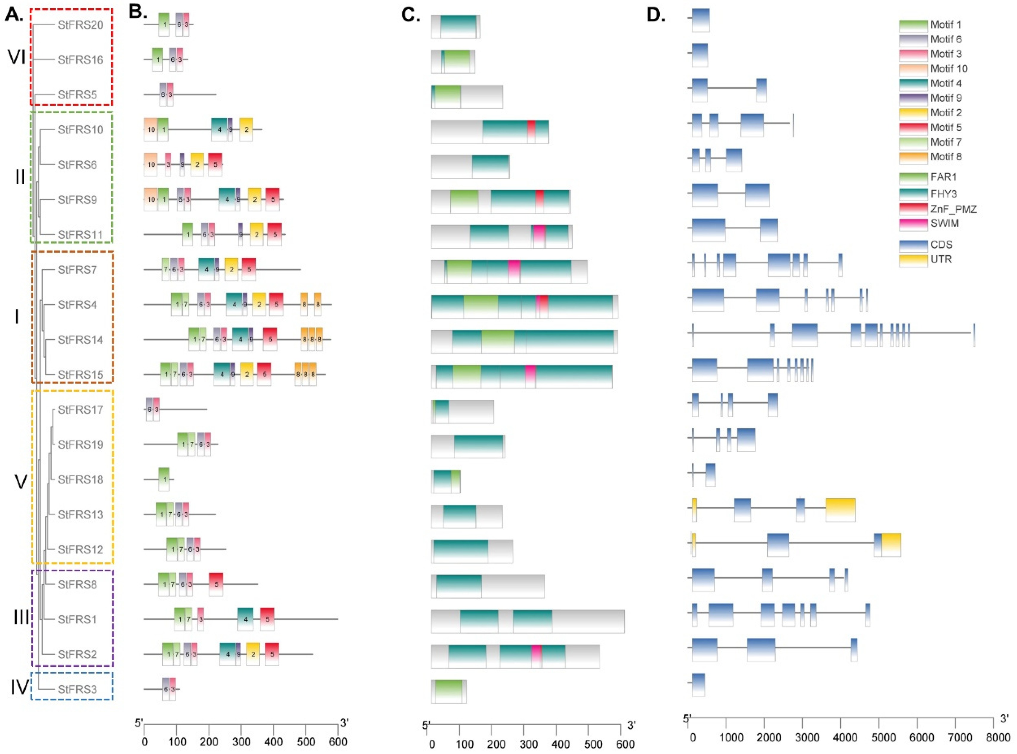 Plants 12 02575 g004