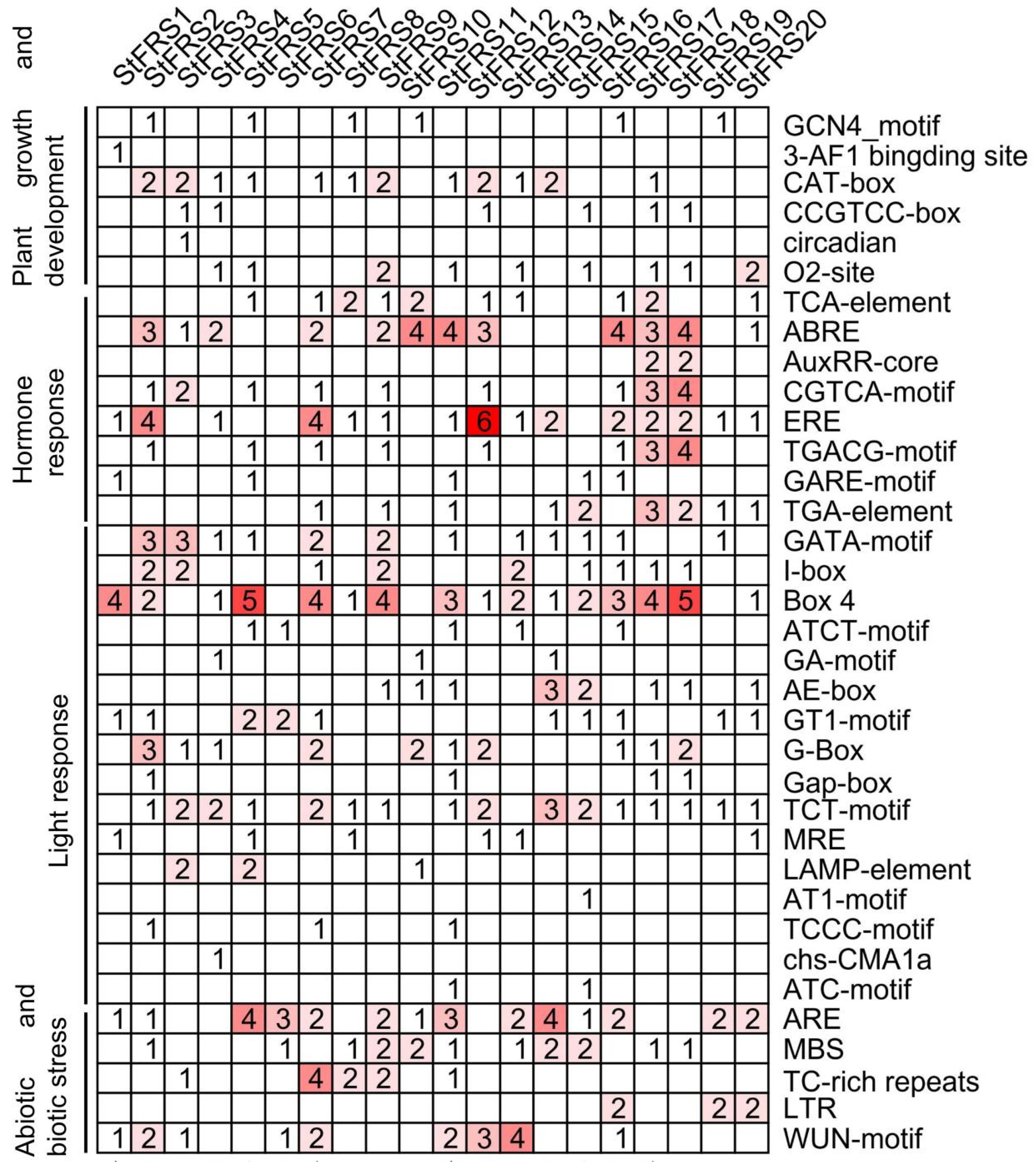 Plants 12 02575 g005