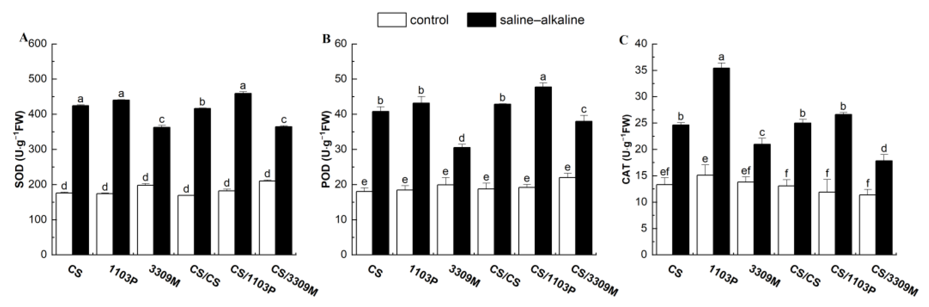 Plants 12 02881 g002
