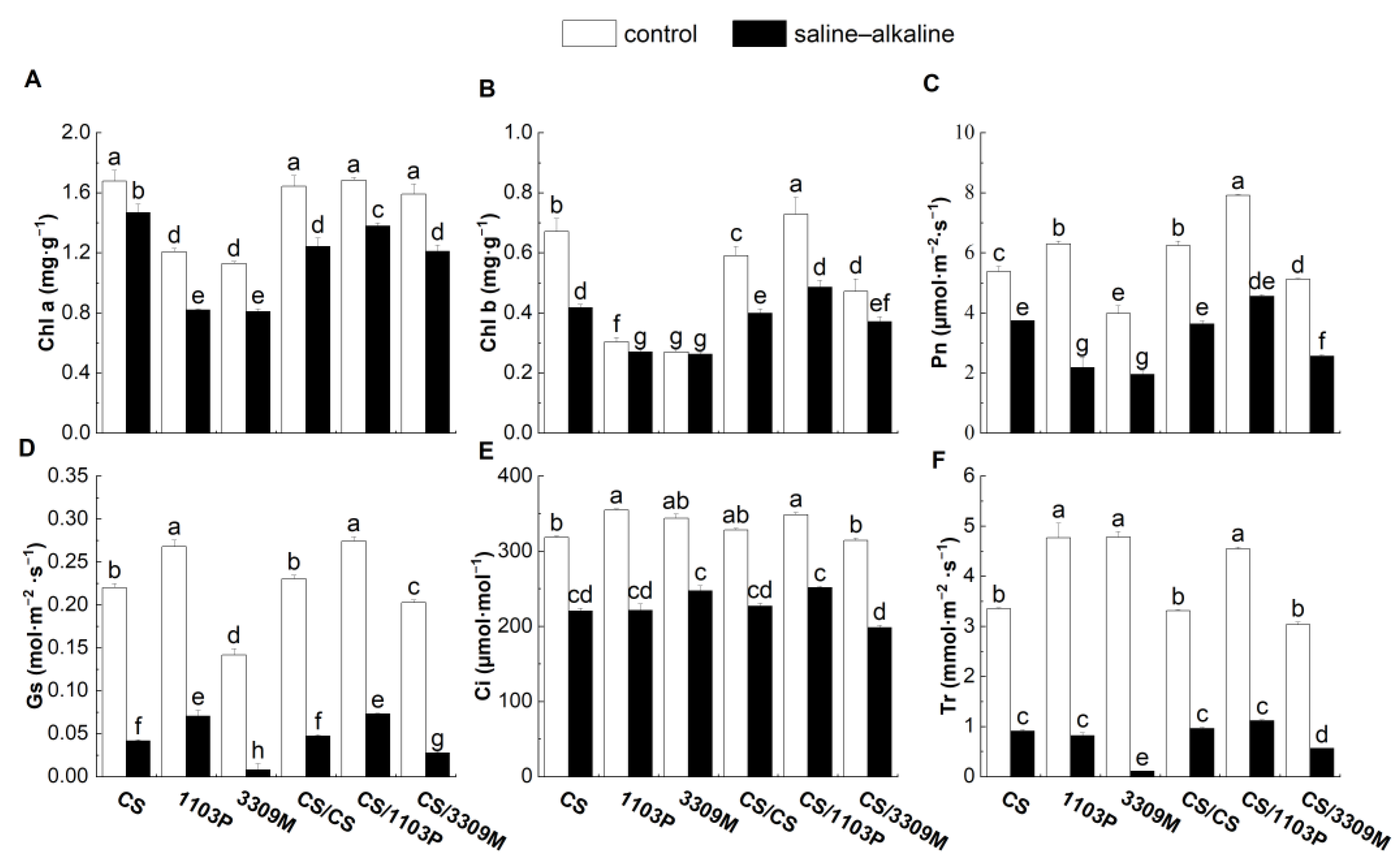 Plants 12 02881 g003