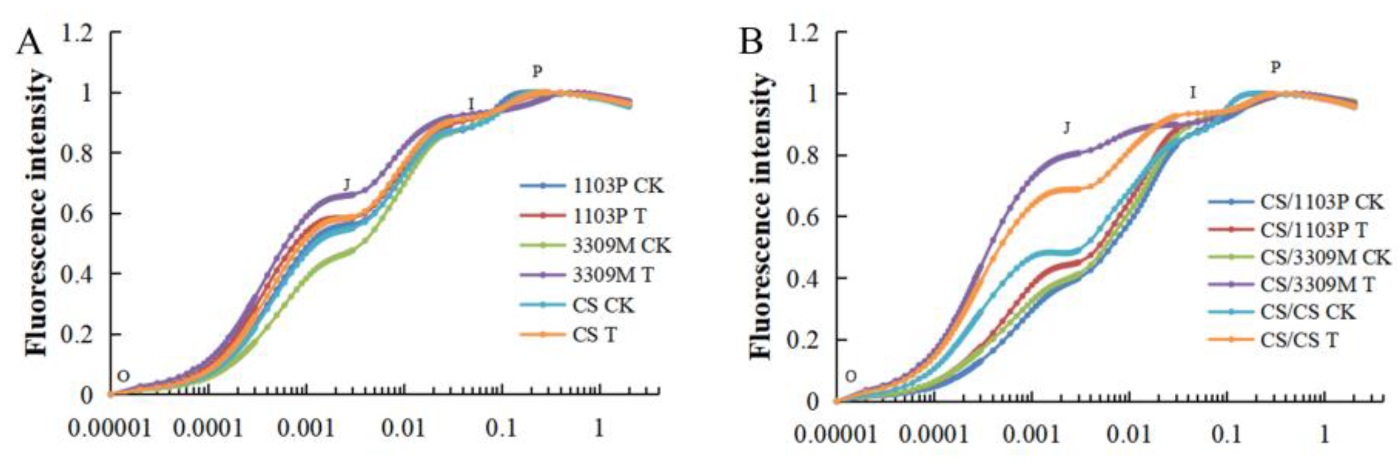 Plants 12 02881 g005