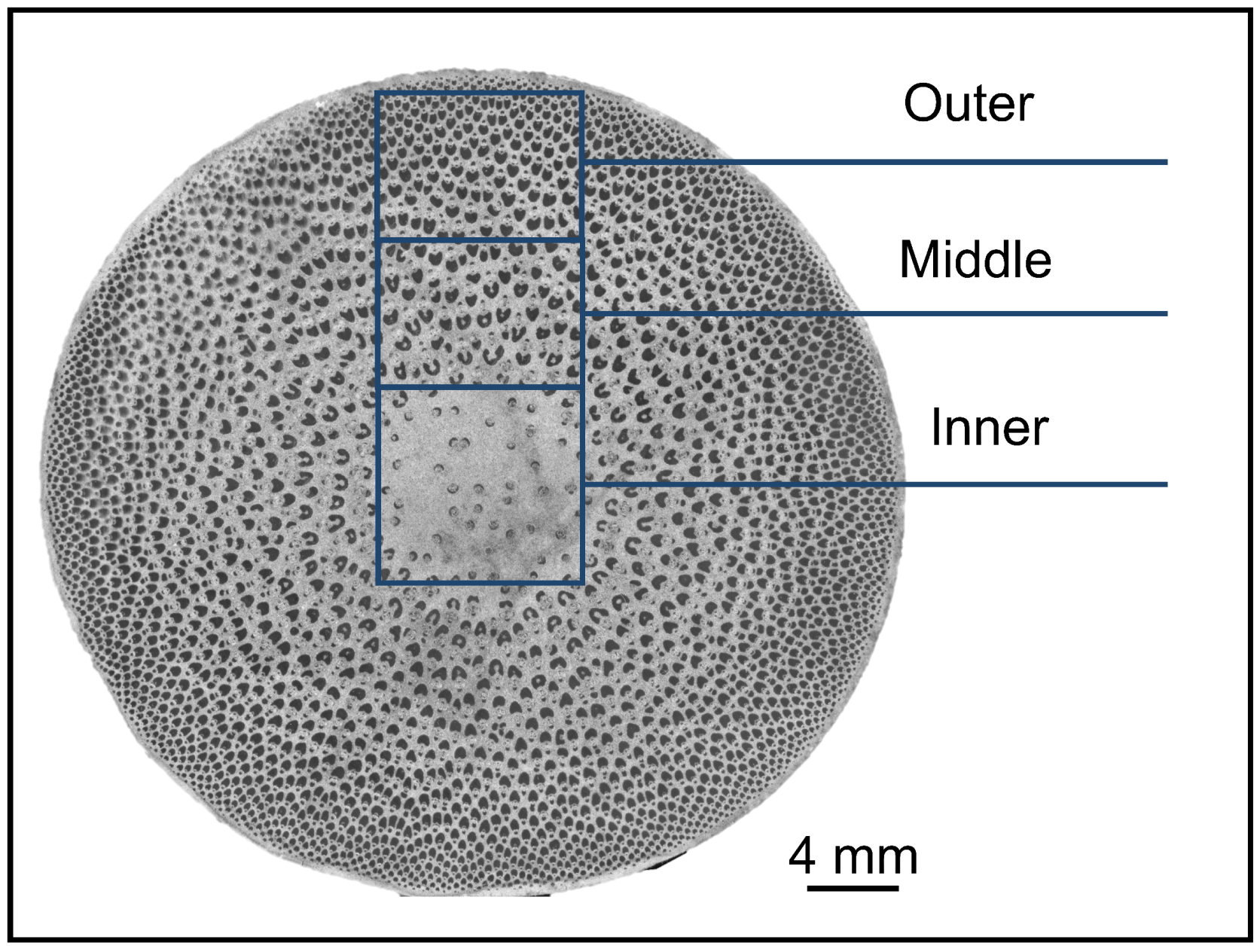 Plants 12 02987 g001