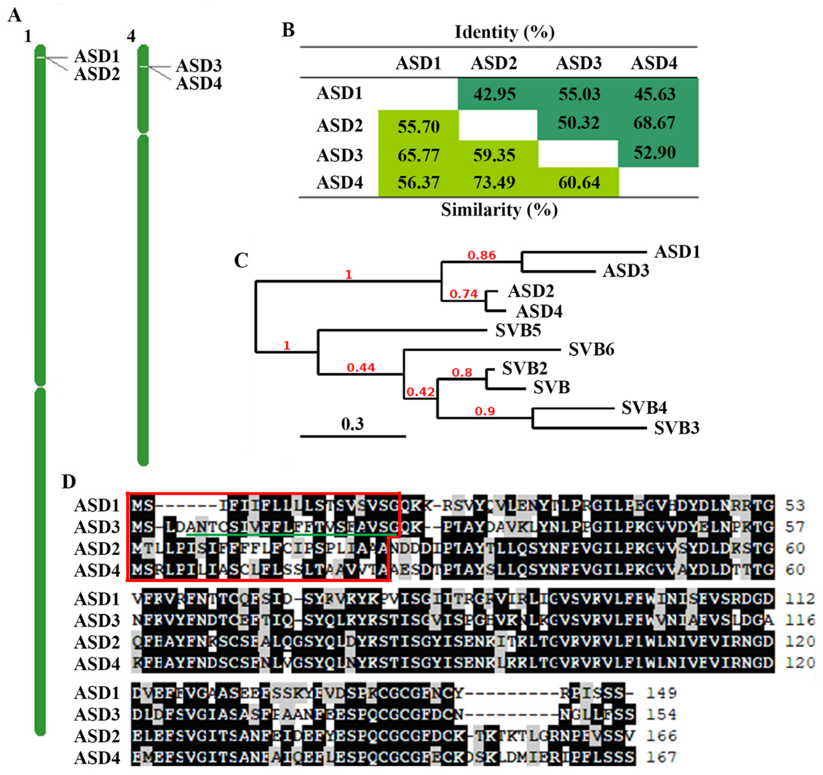 Plants 12 02989 g001