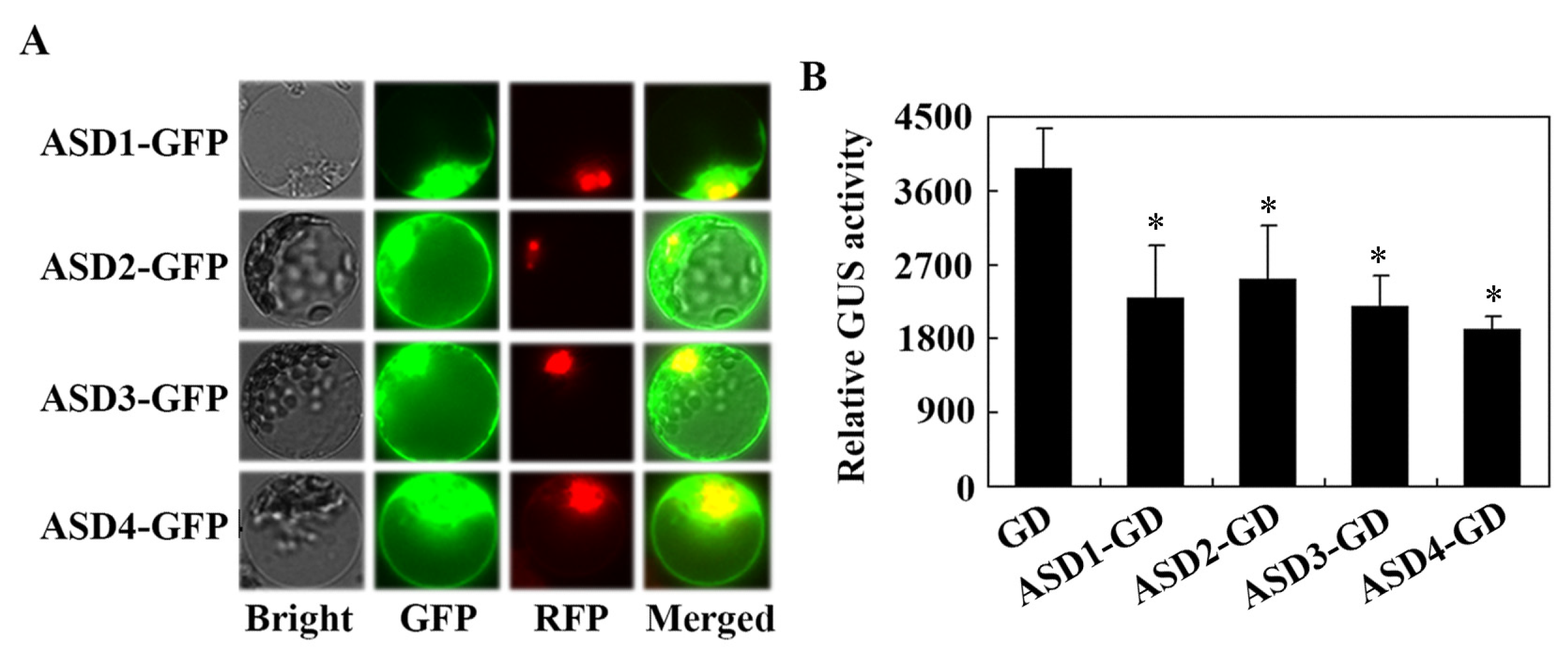 Plants 12 02989 g003