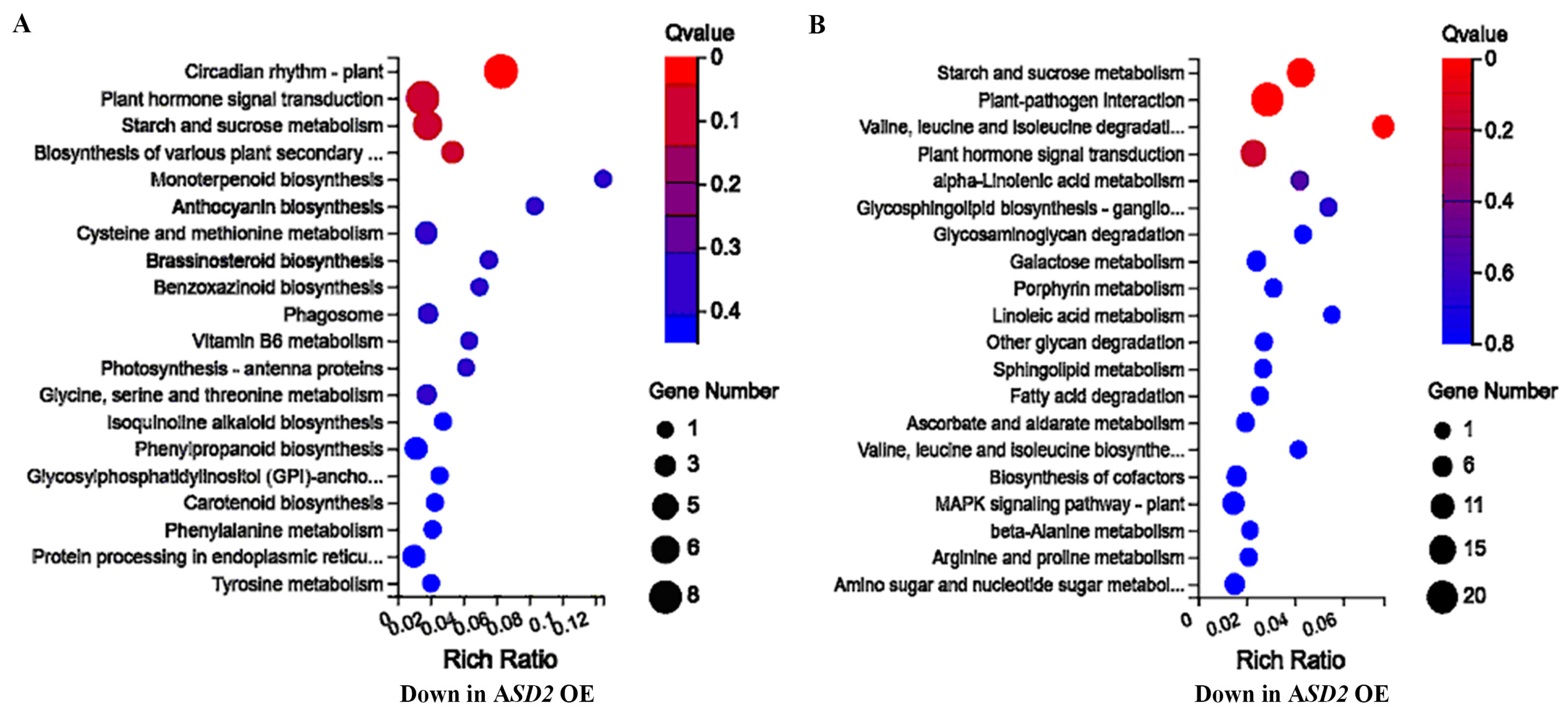Plants 12 02989 g008