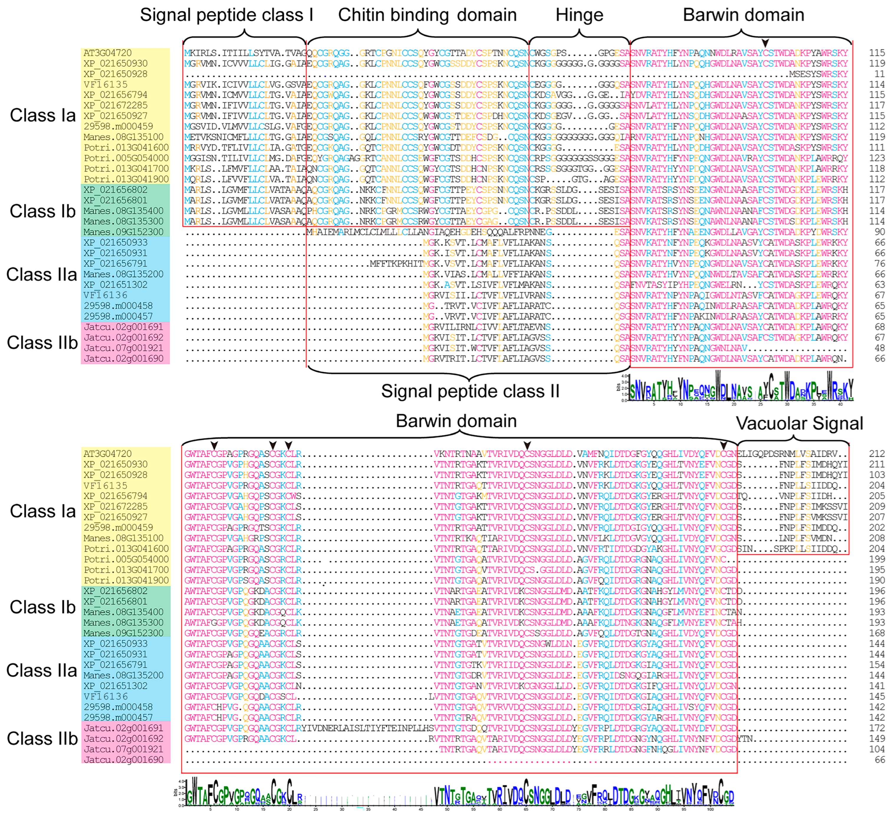 Plants 12 03154 g001