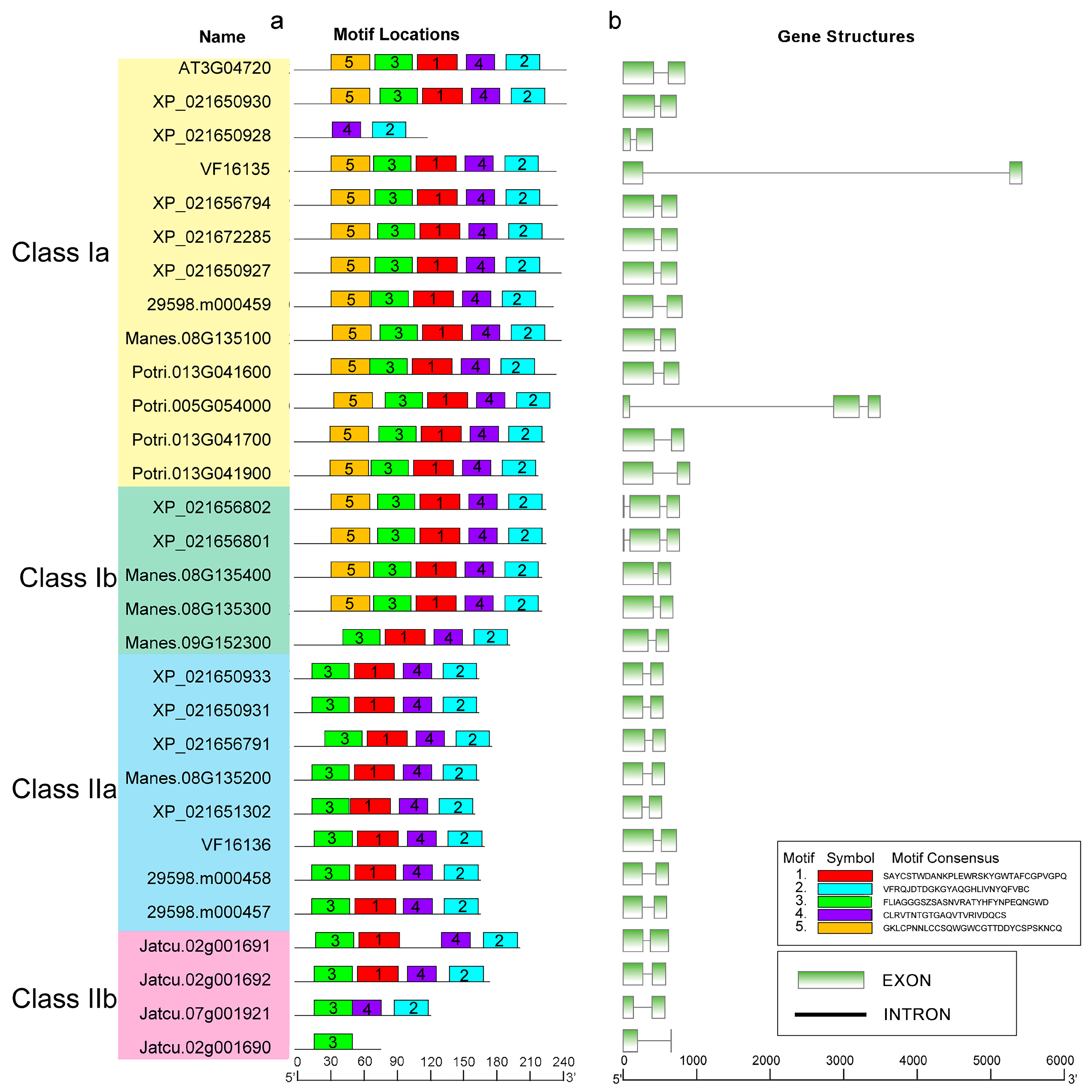 Plants 12 03154 g003