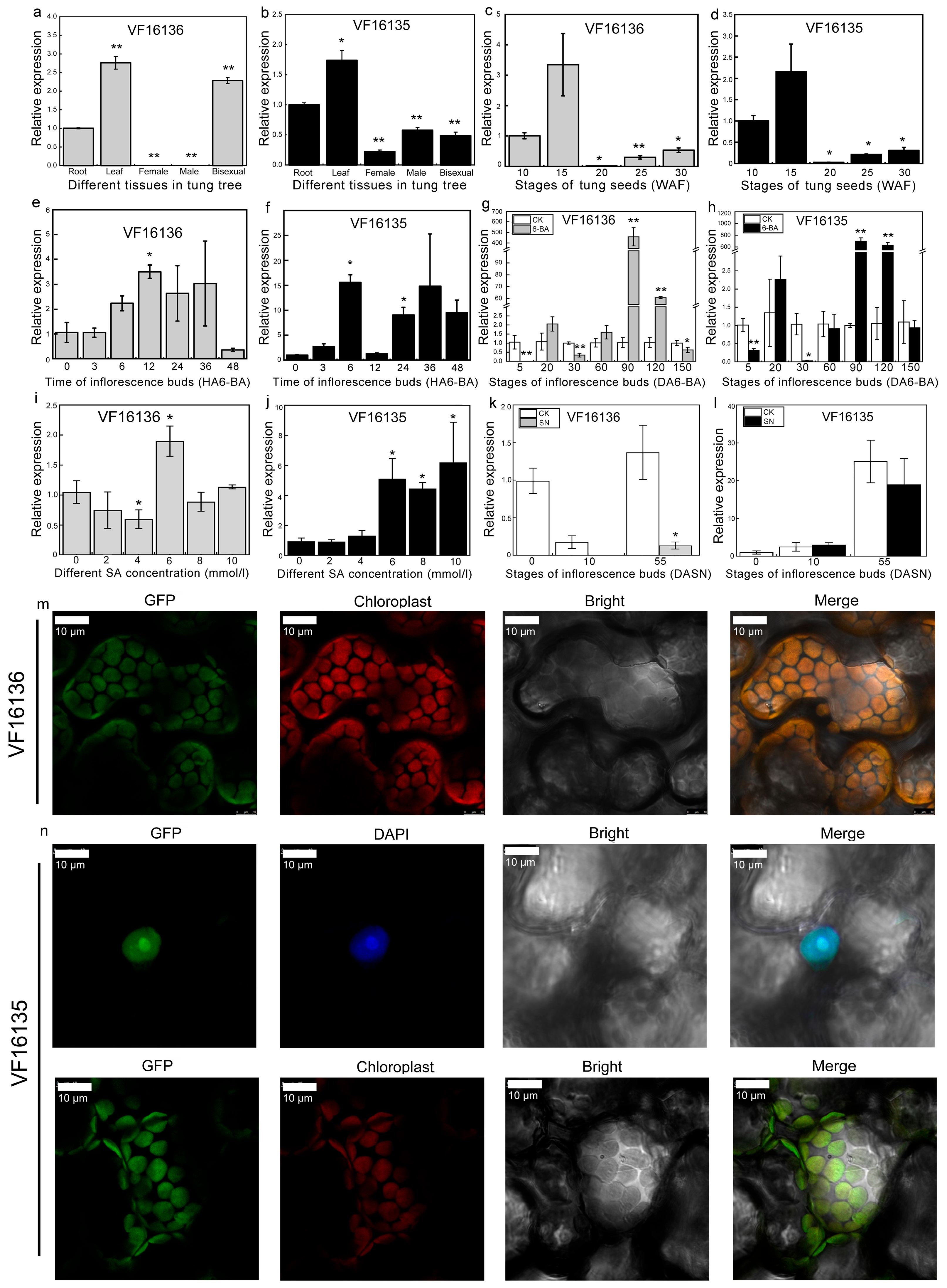 Plants 12 03154 g006