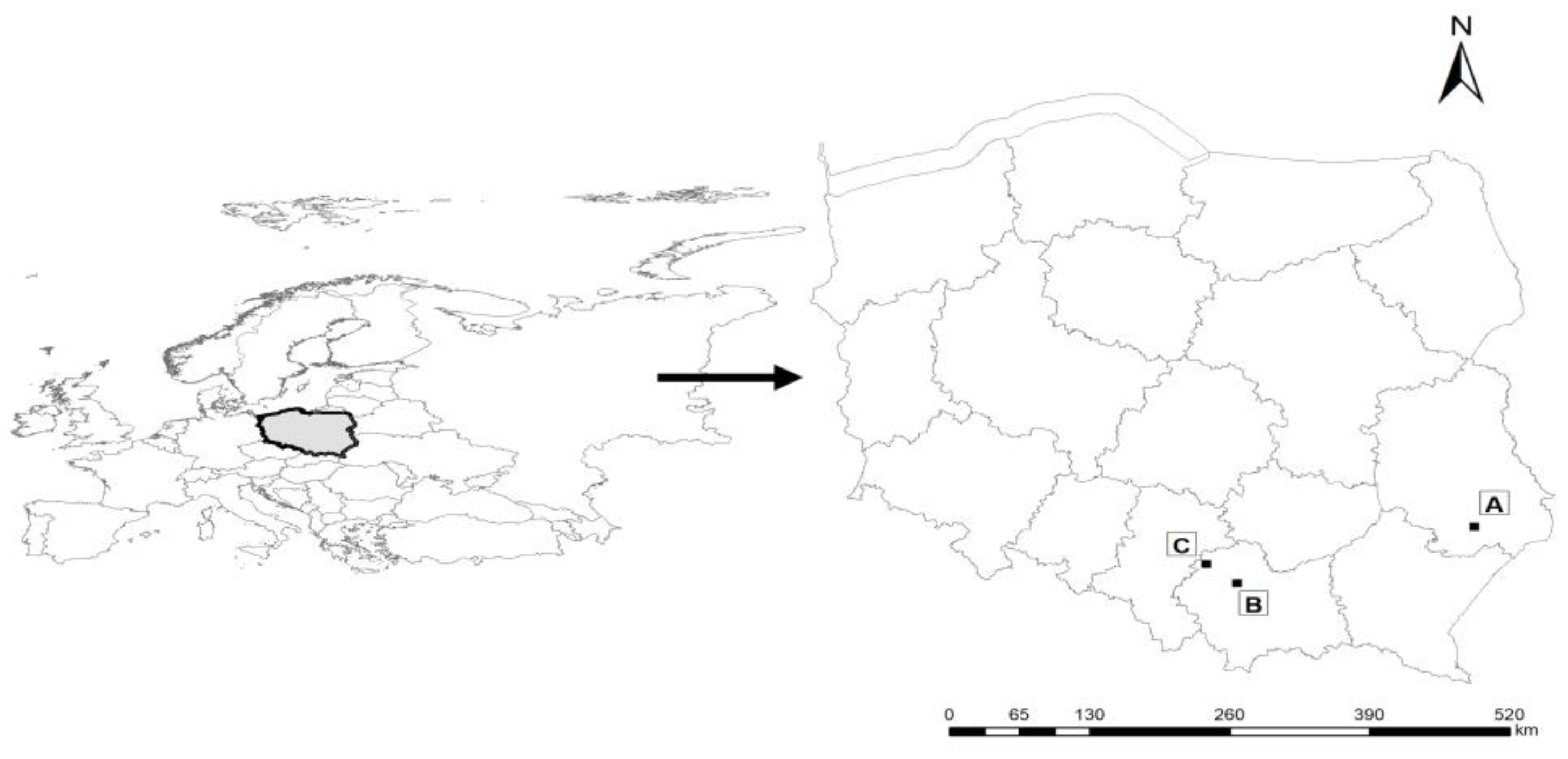 Plants 12 03443 g005