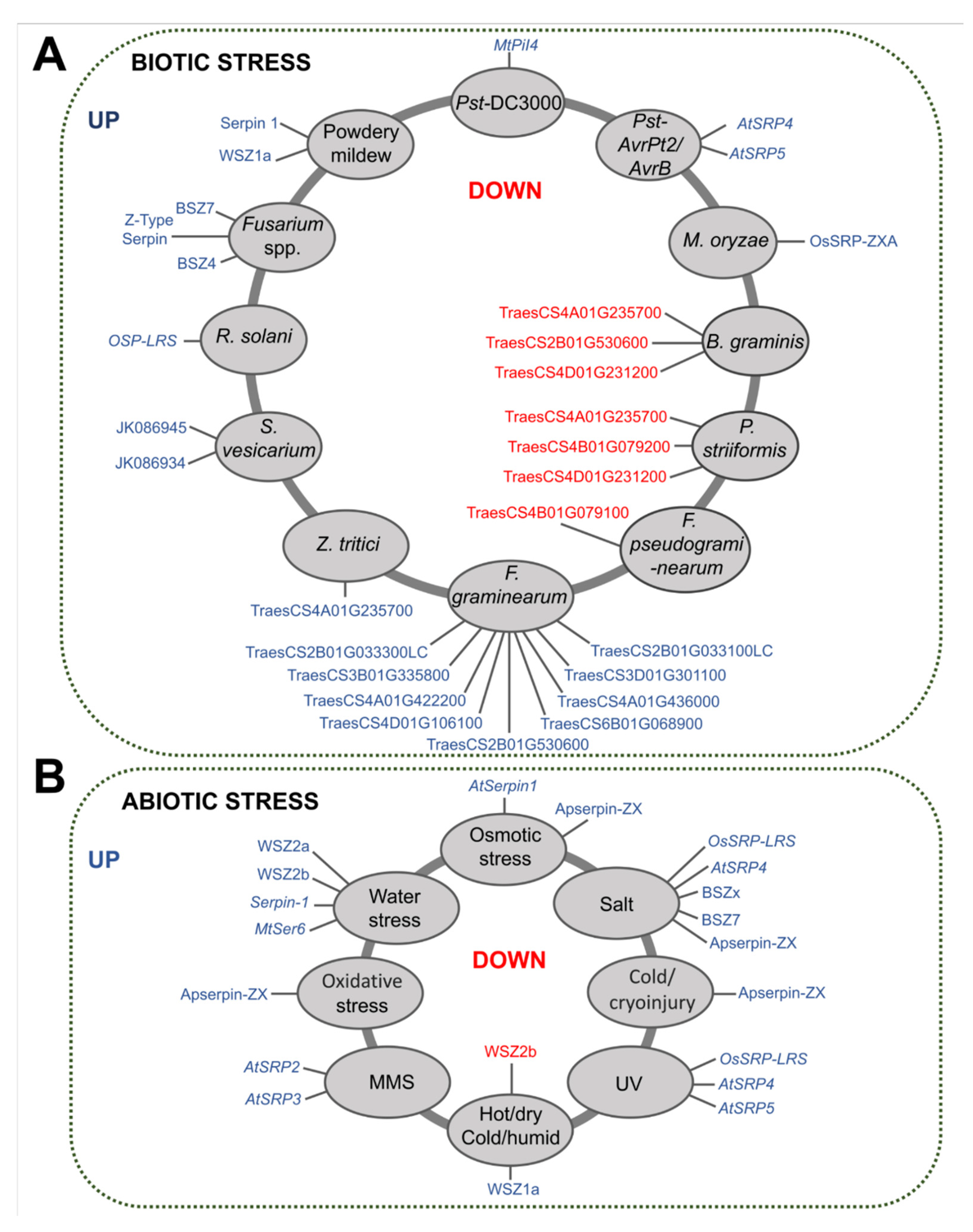 Plants 12 03619 g006