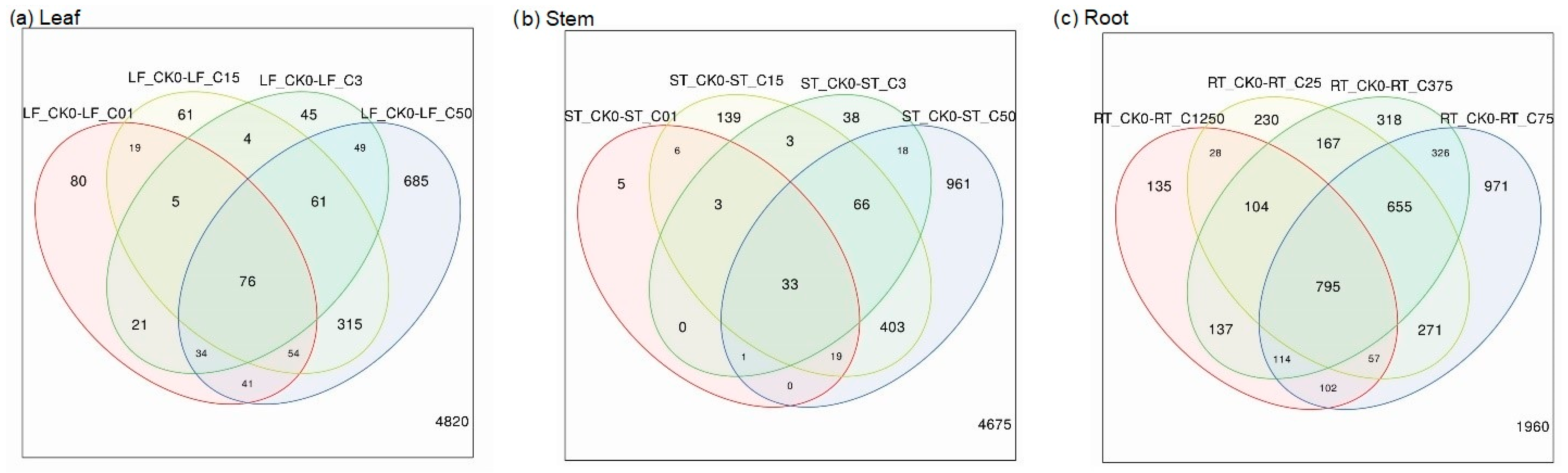 Plants 12 03875 g001