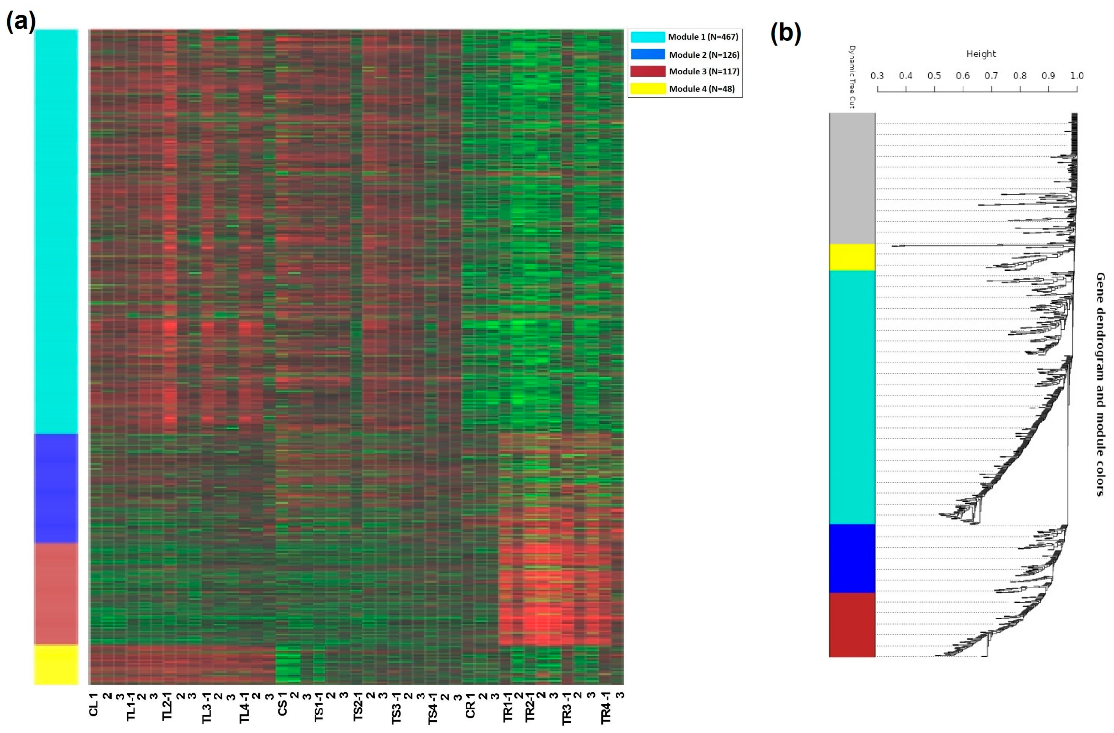 Plants 12 03875 g004