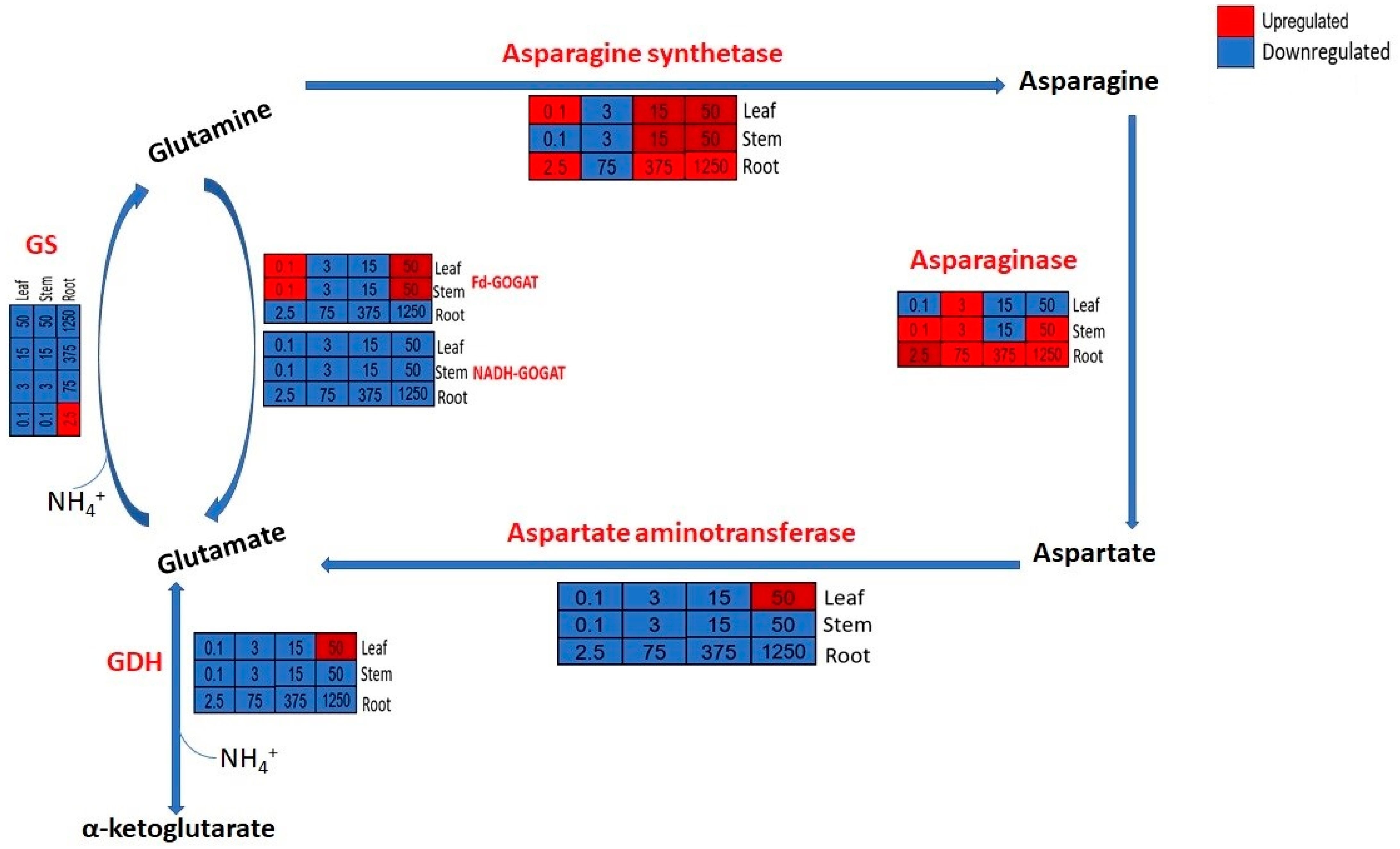 Plants 12 03875 g006
