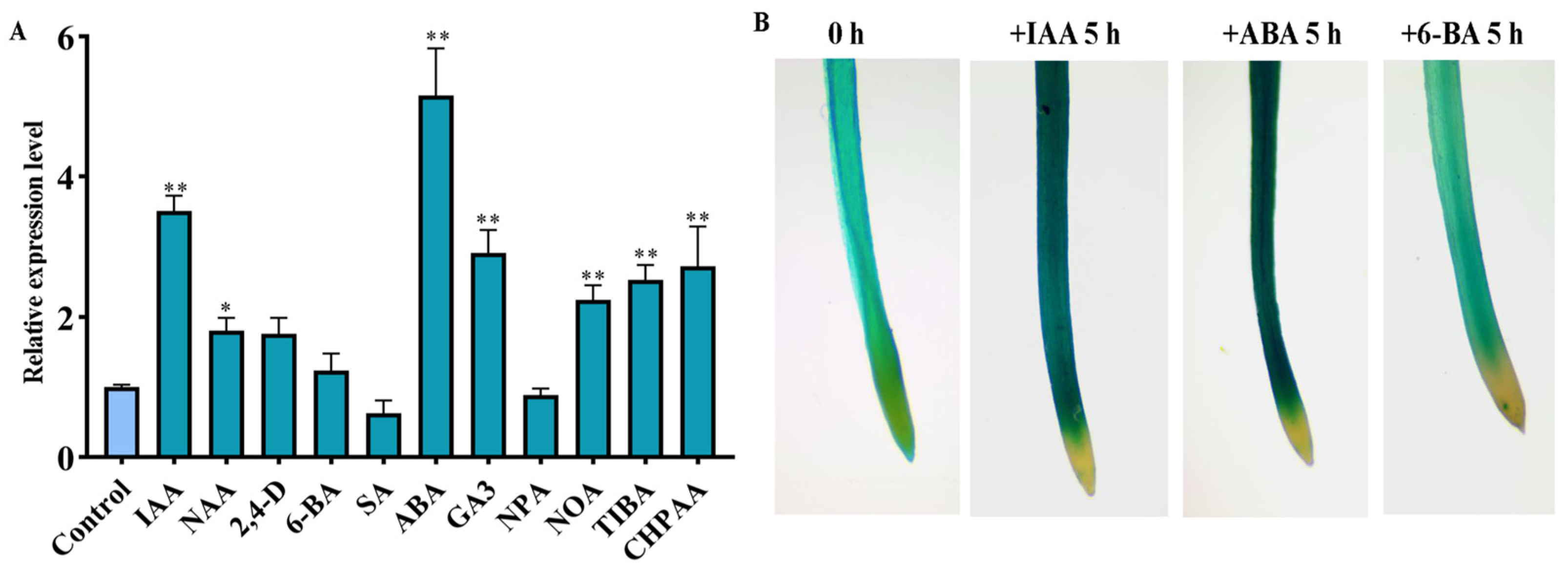 Plants 12 03880 g003