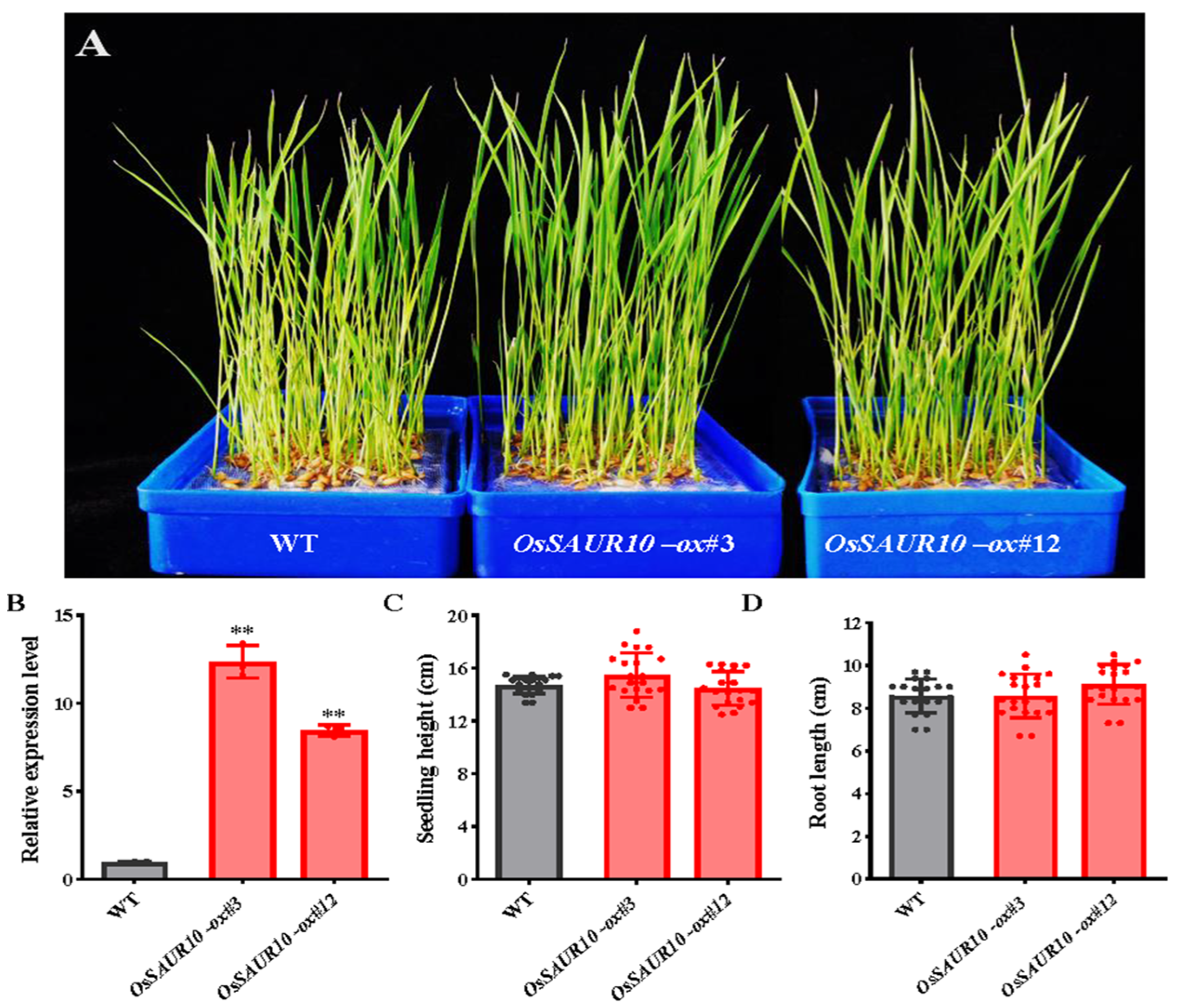 Plants 12 03880 g005