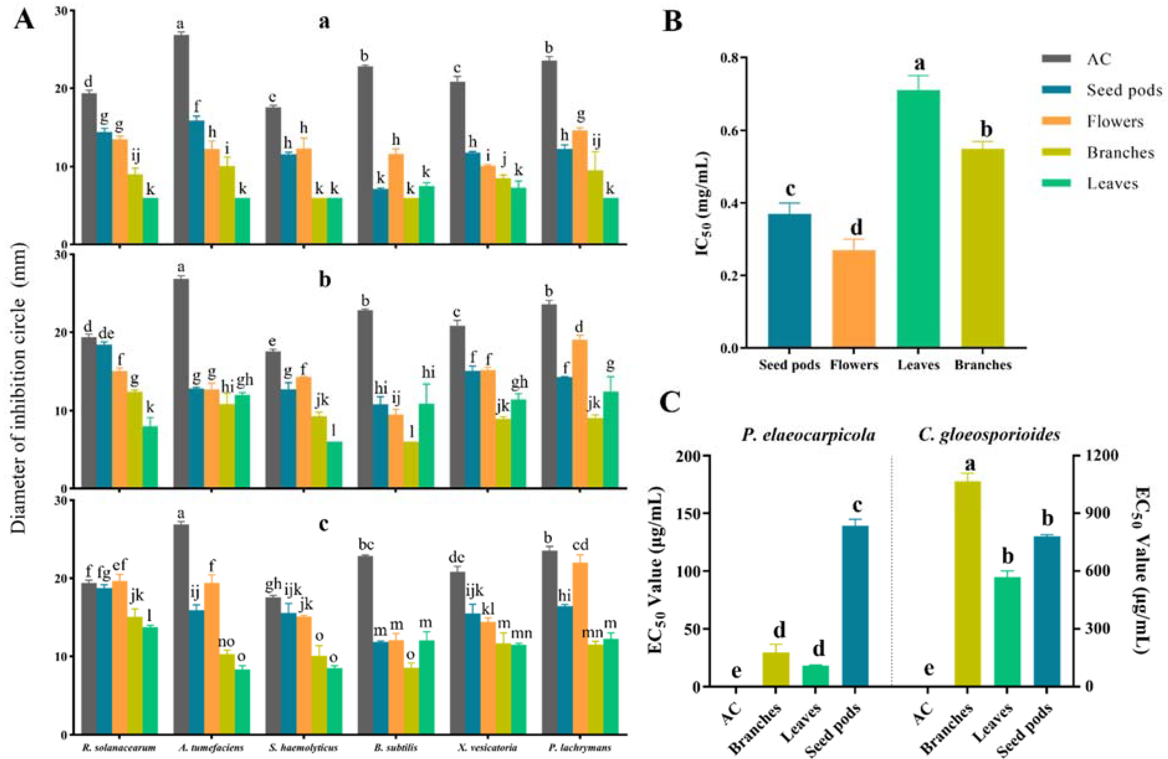 Plants 12 03900 g002