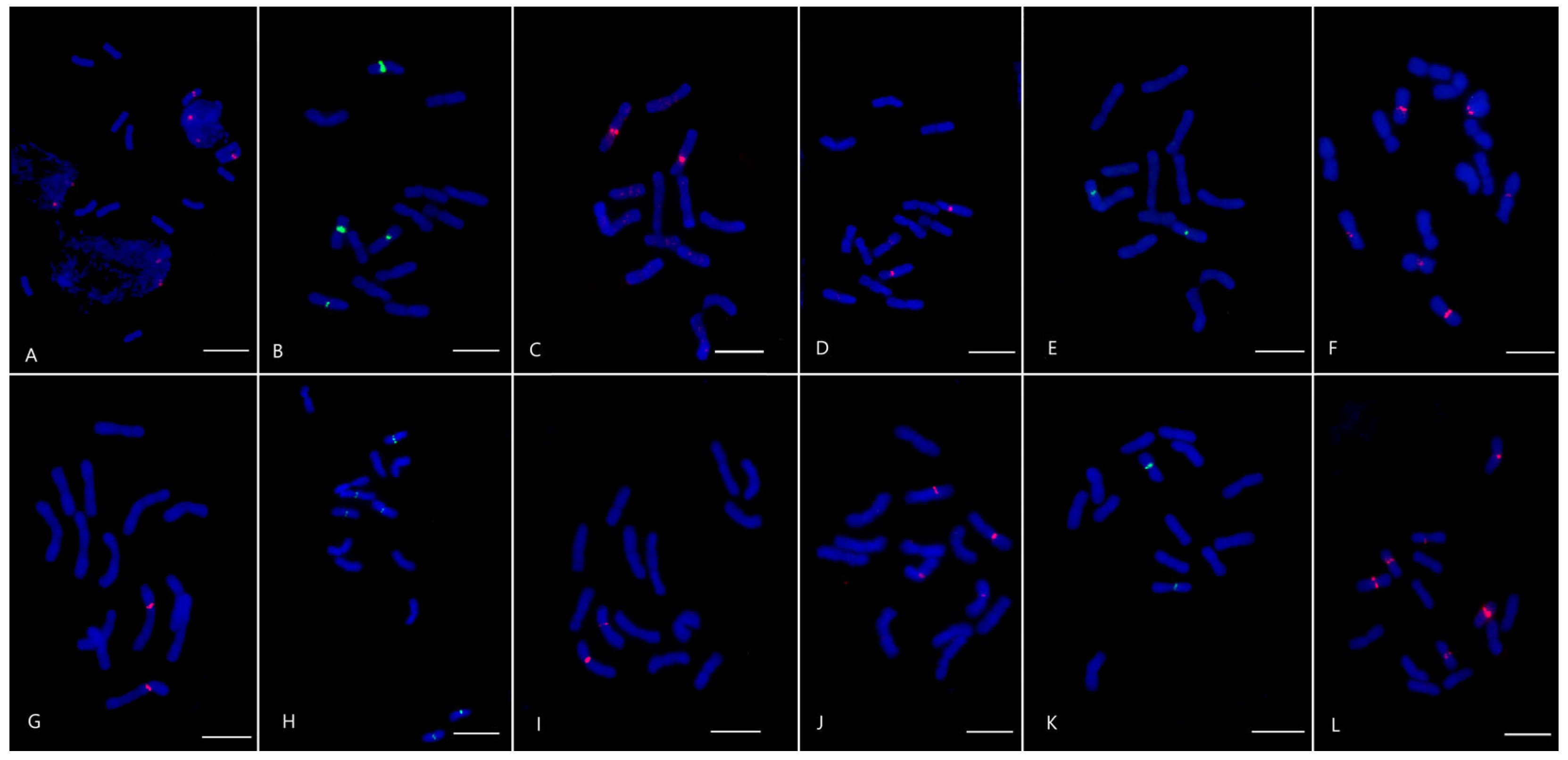 Plants 12 04169 g002