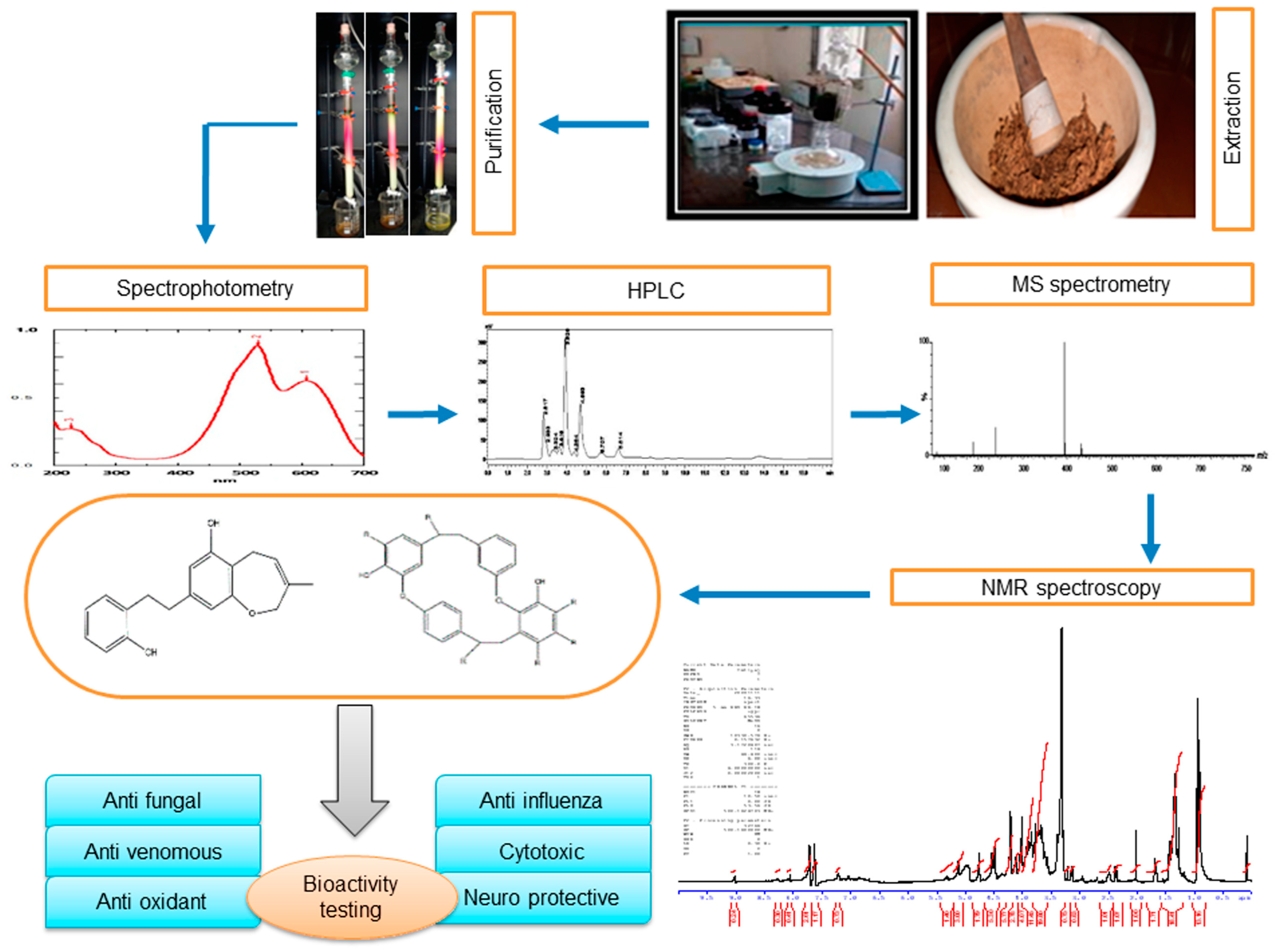 Plants 12 04173 g001