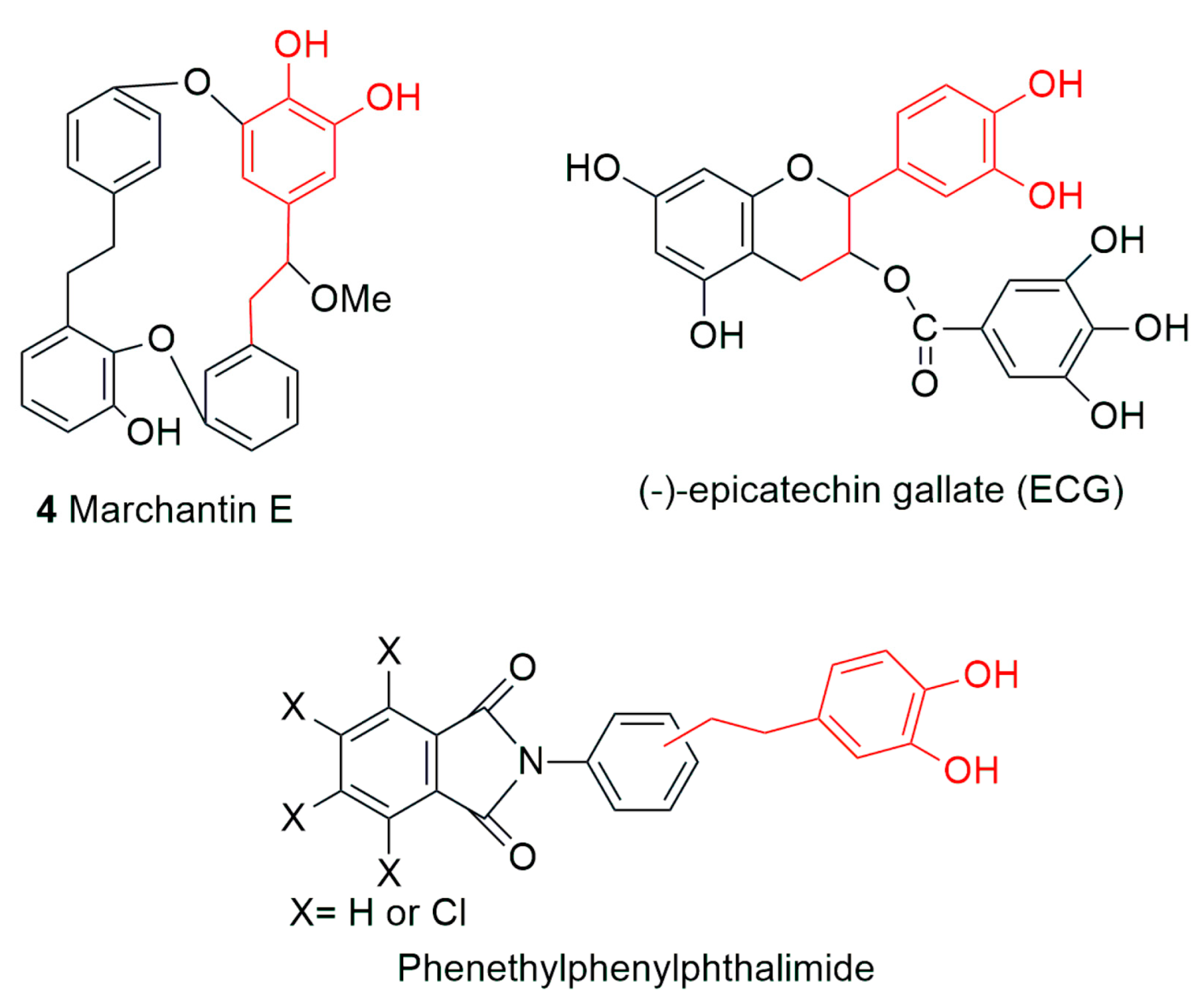 Plants 12 04173 g007