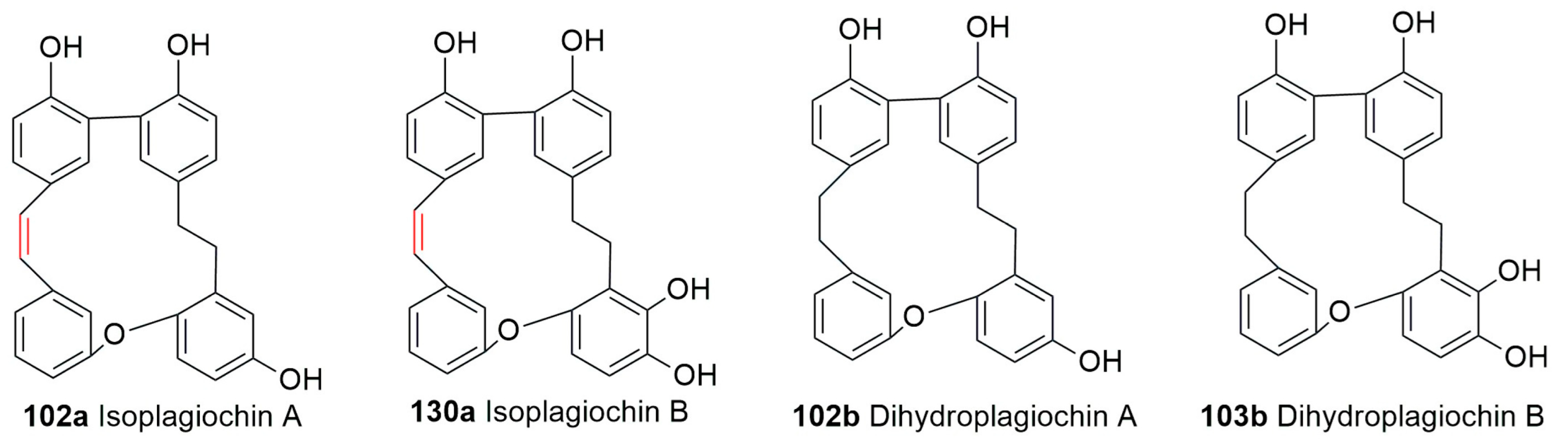 Plants 12 04173 g011