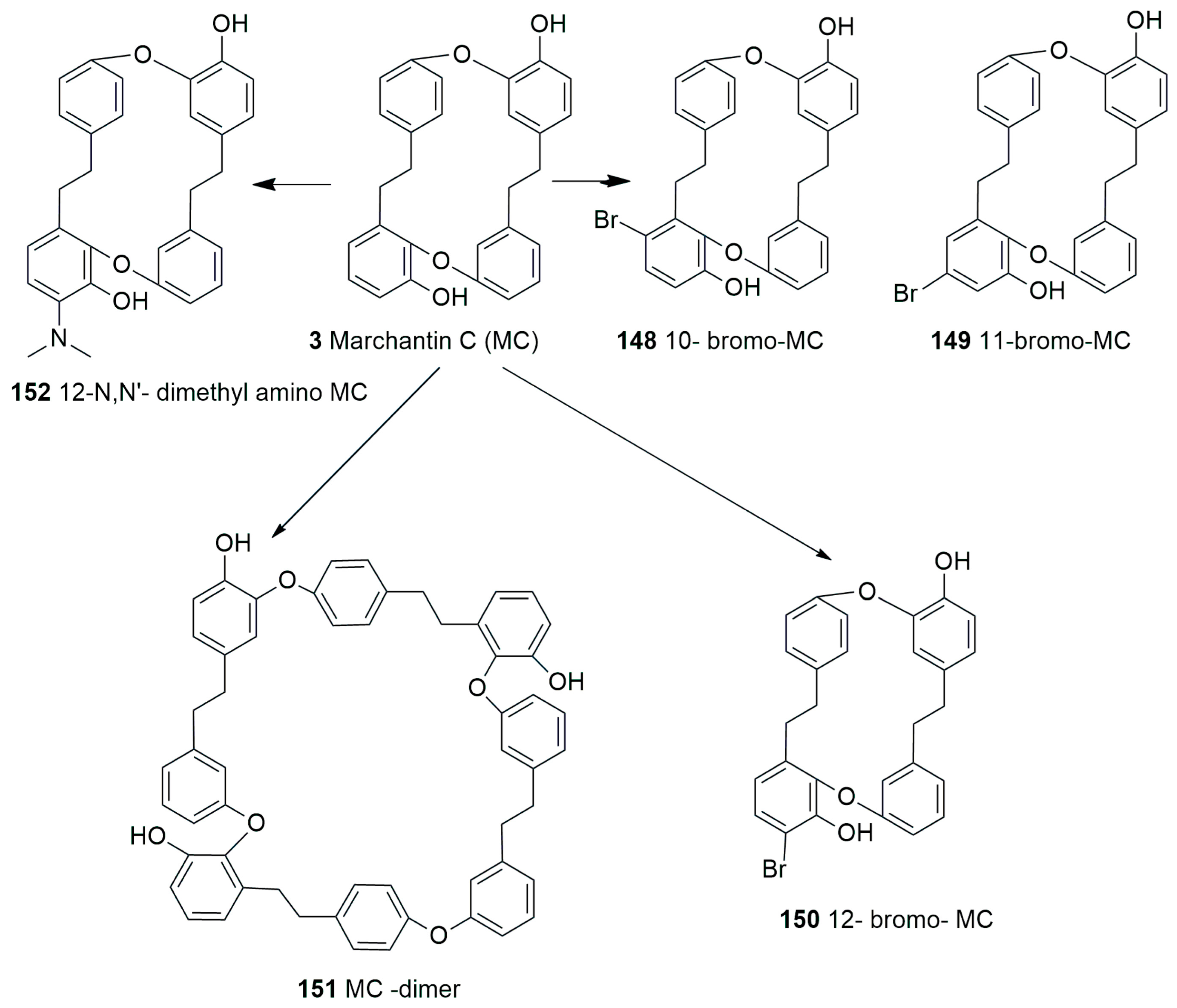 Plants 12 04173 g012