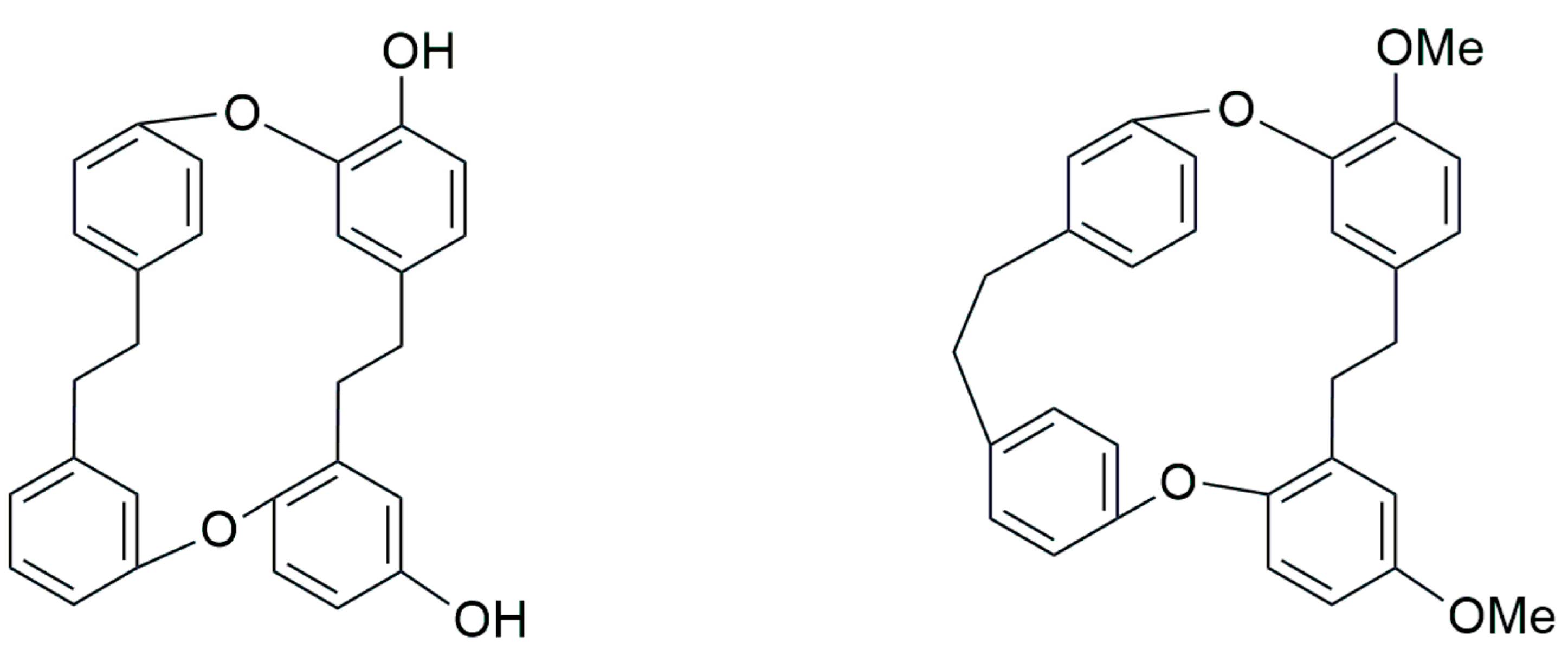 Plants 12 04173 g013