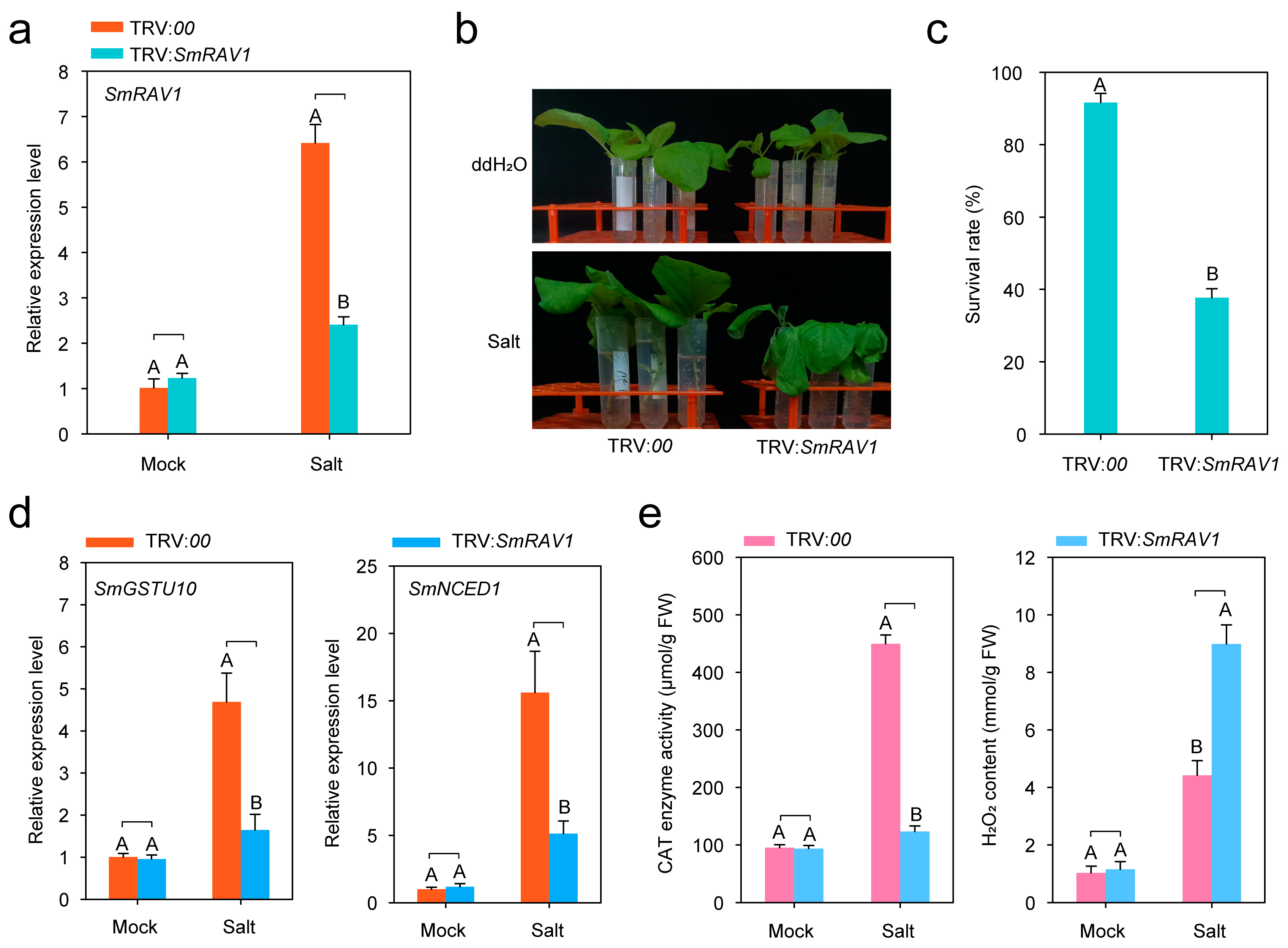 Plants 12 04174 g005