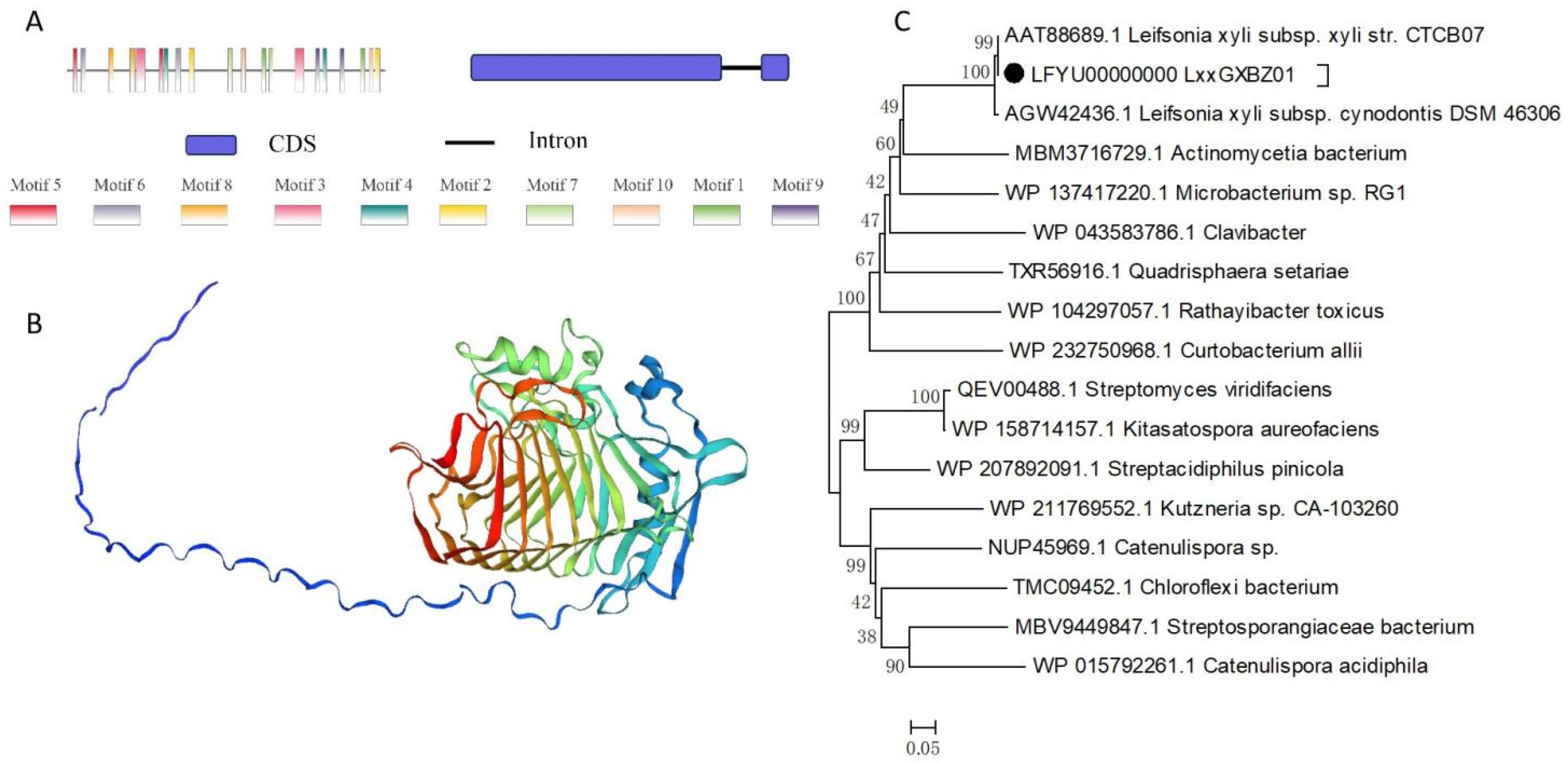 Plants 13 00448 g001