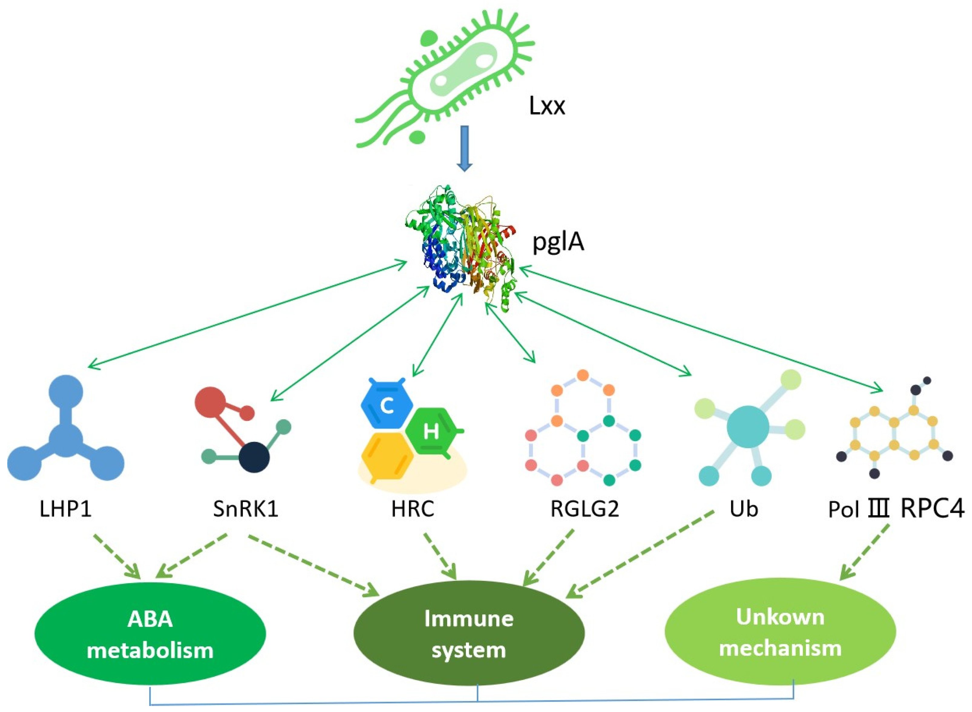 Plants 13 00448 g007