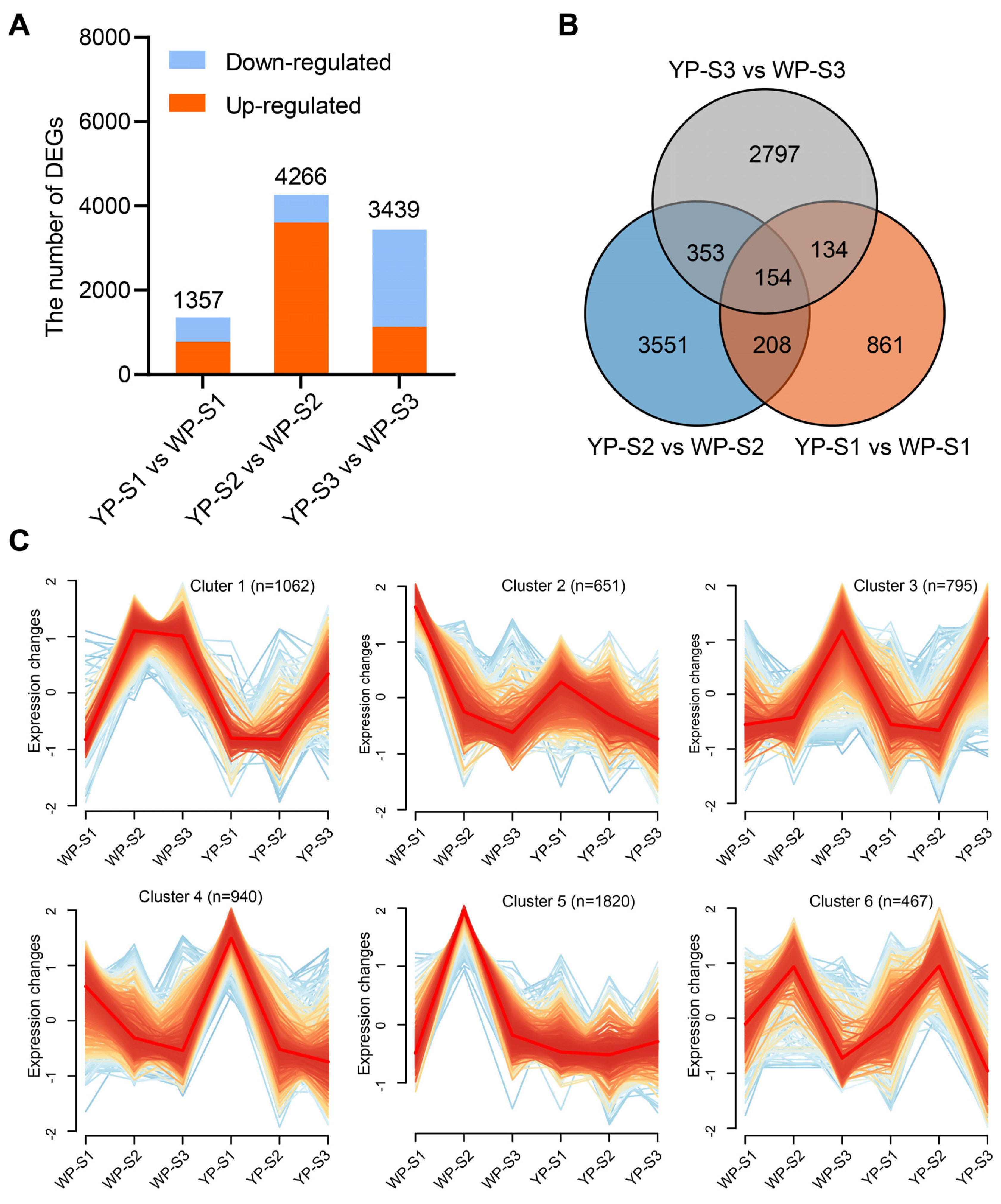 Plants 13 00507 g004