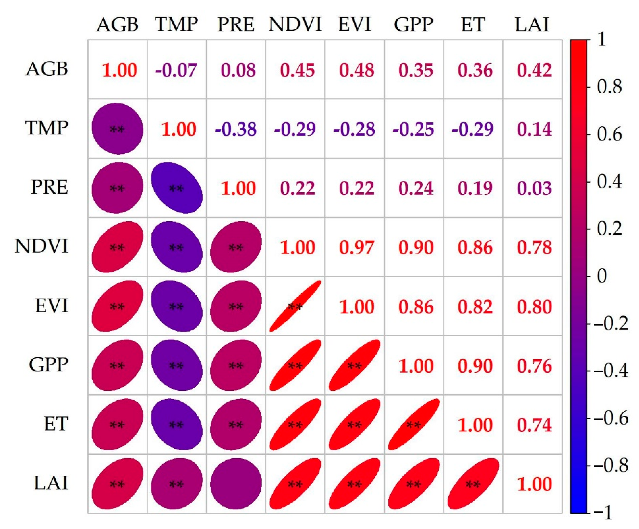 Plants 13 00548 g001