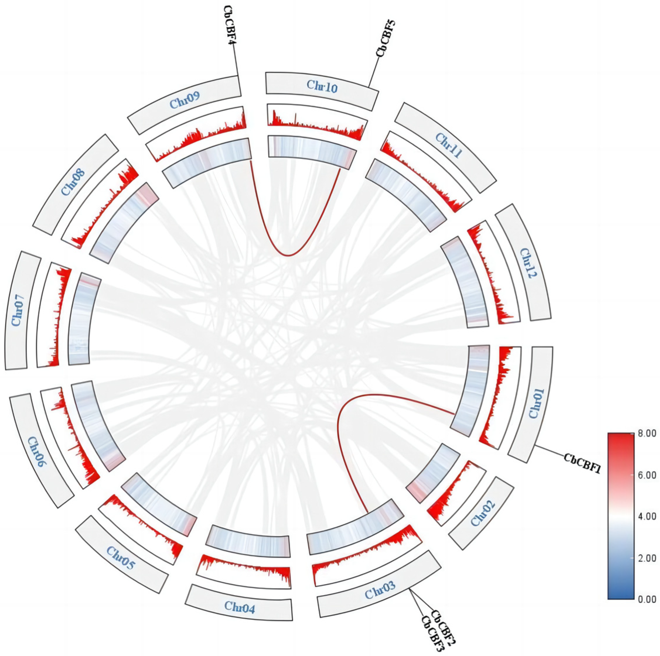 Plants 13 00549 g004