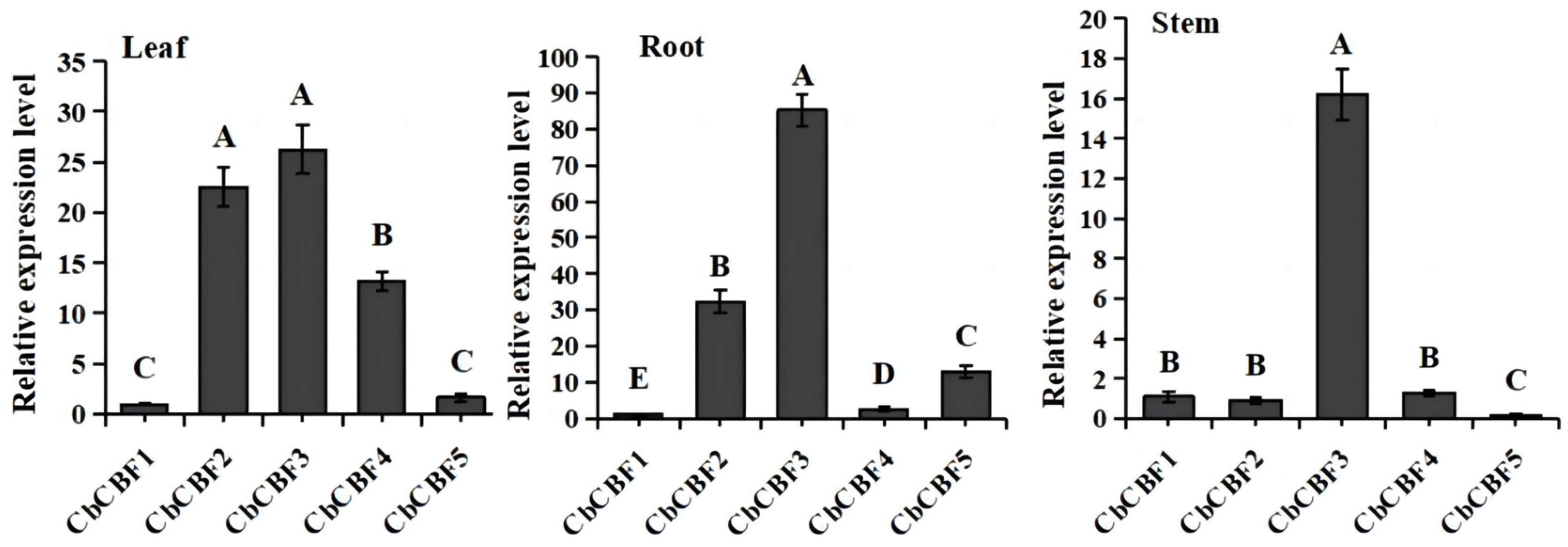 Plants 13 00549 g005
