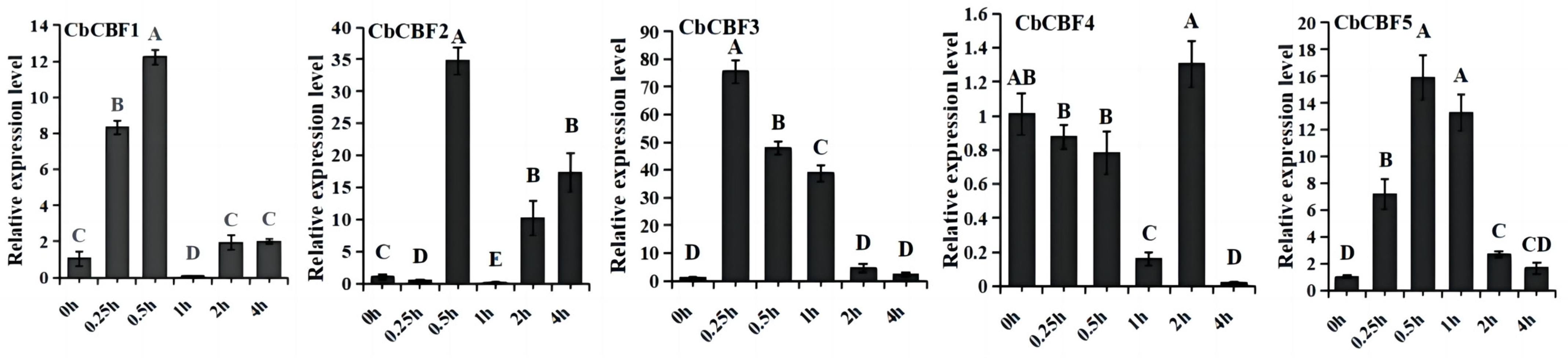 Plants 13 00549 g006