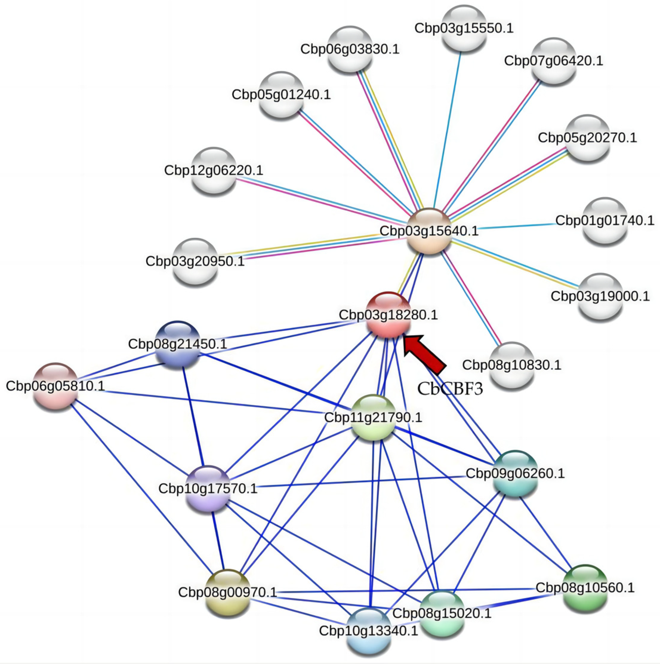 Plants 13 00549 g009