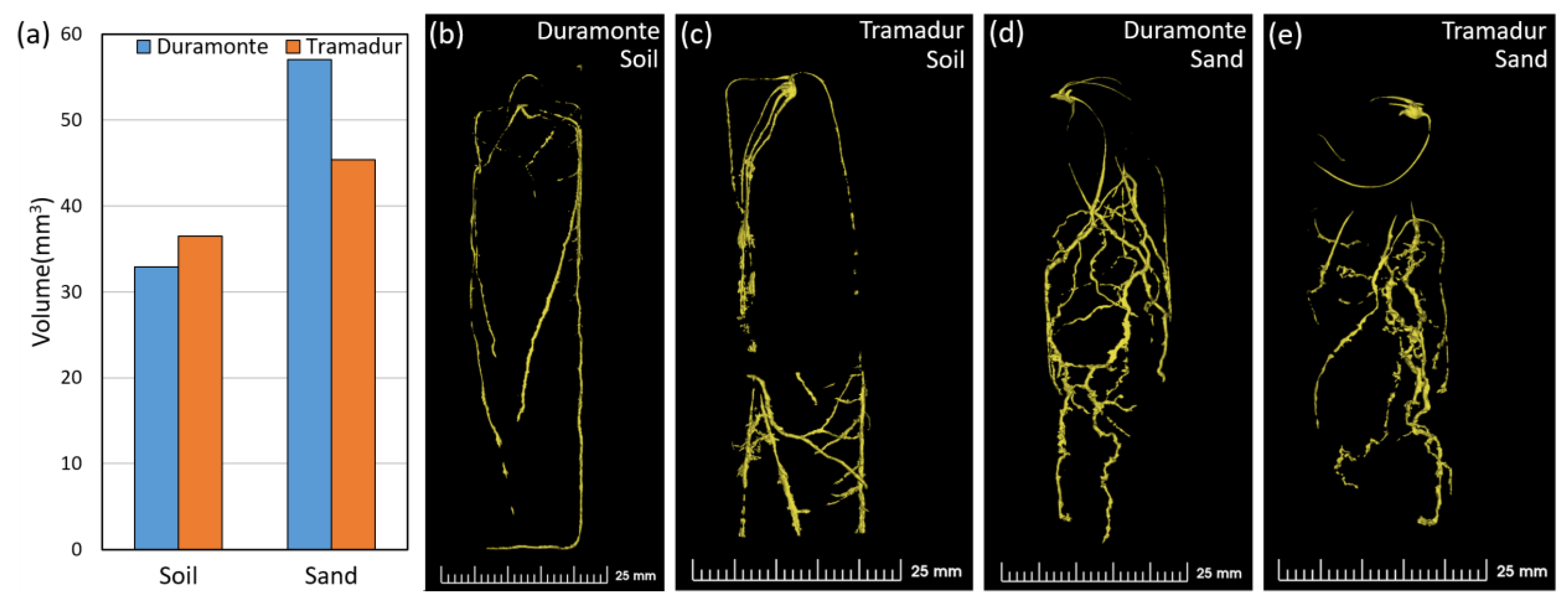 Plants 13 00554 g004