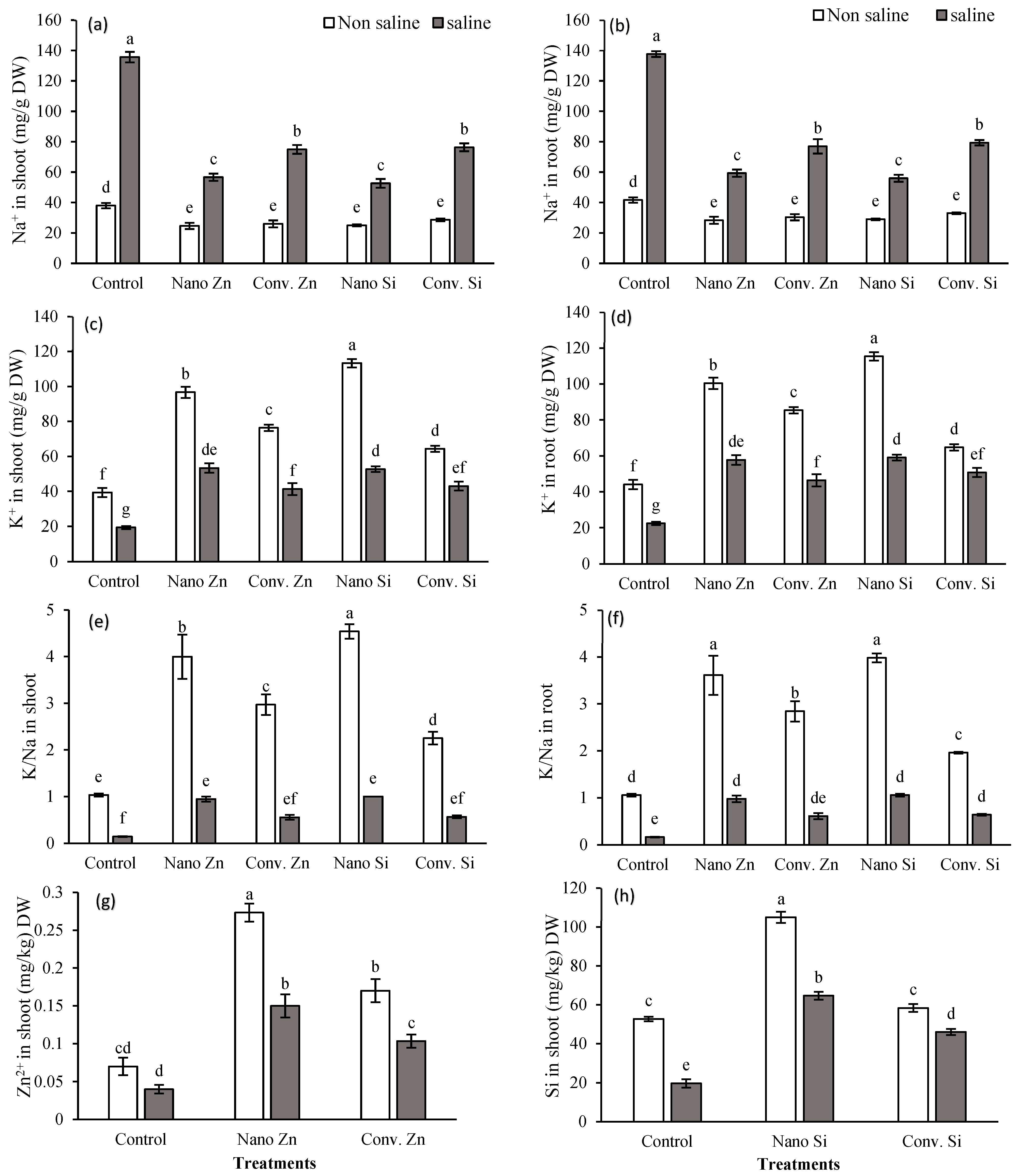 Plants 13 01224 g001