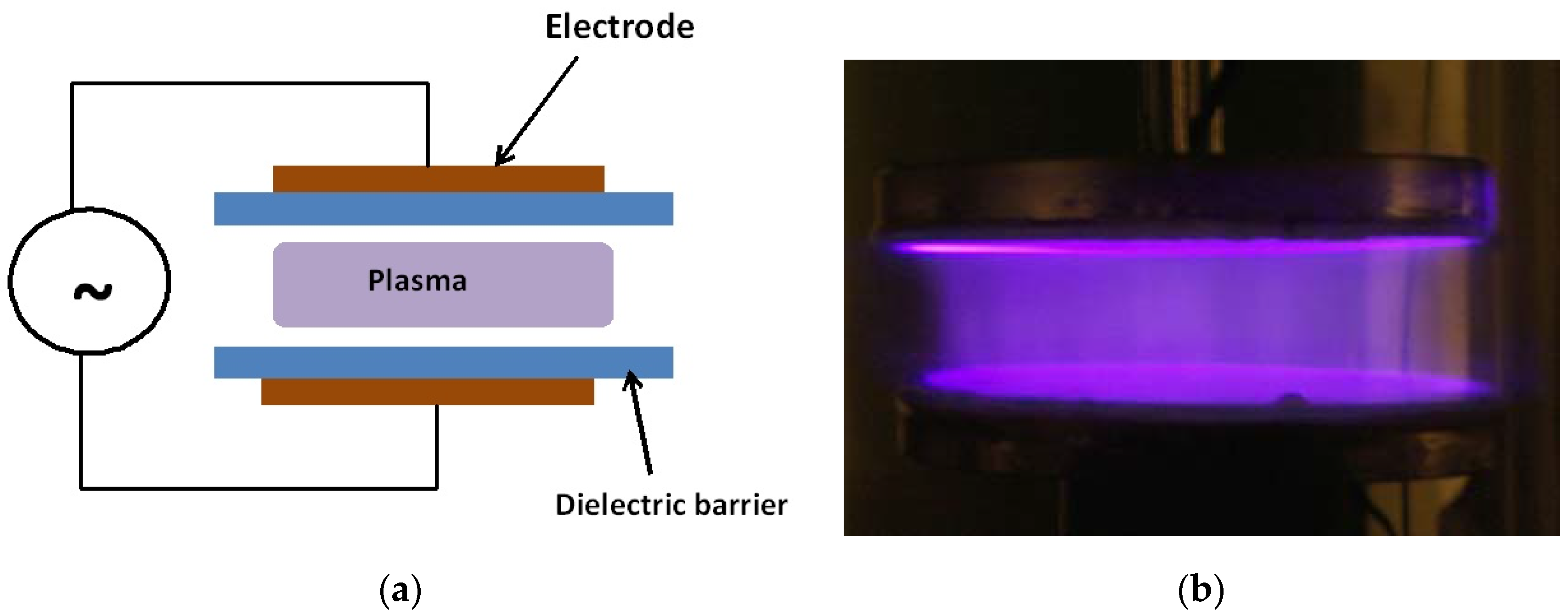Plasma