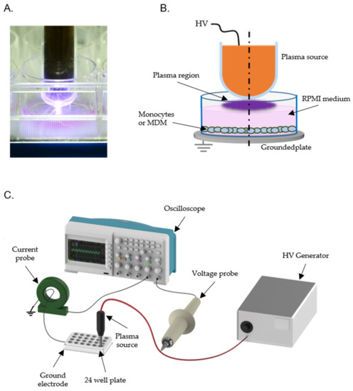 Plasma | Special Issue : Plasma Medicine