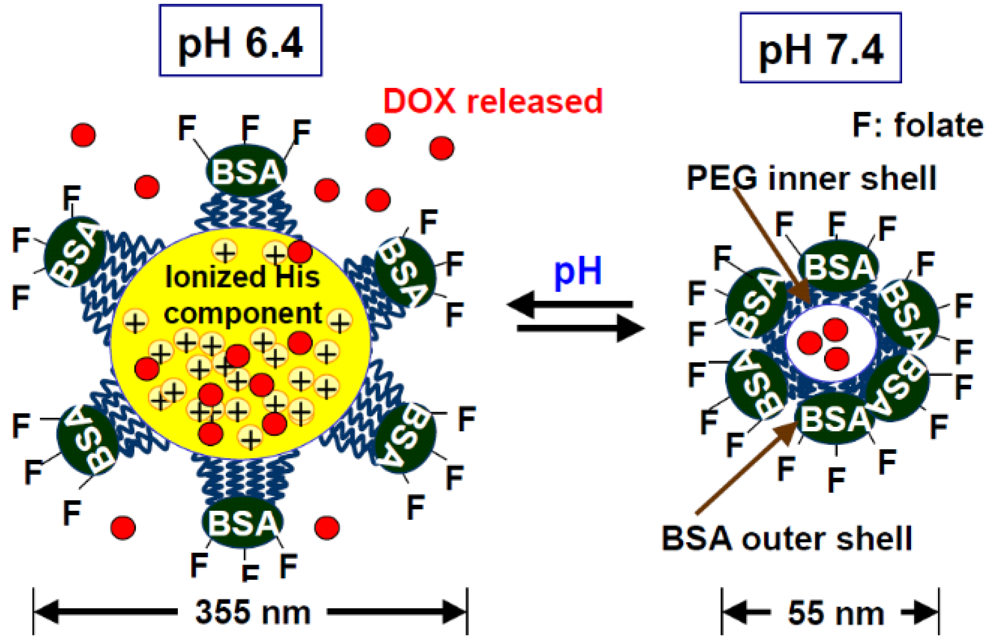 Polymers 02 00086 g002