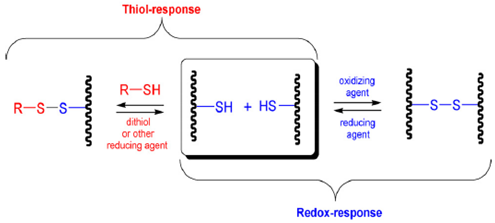 Disulfide Exchange Related Keywords &amp; Suggestions - Disulfide Exchange 