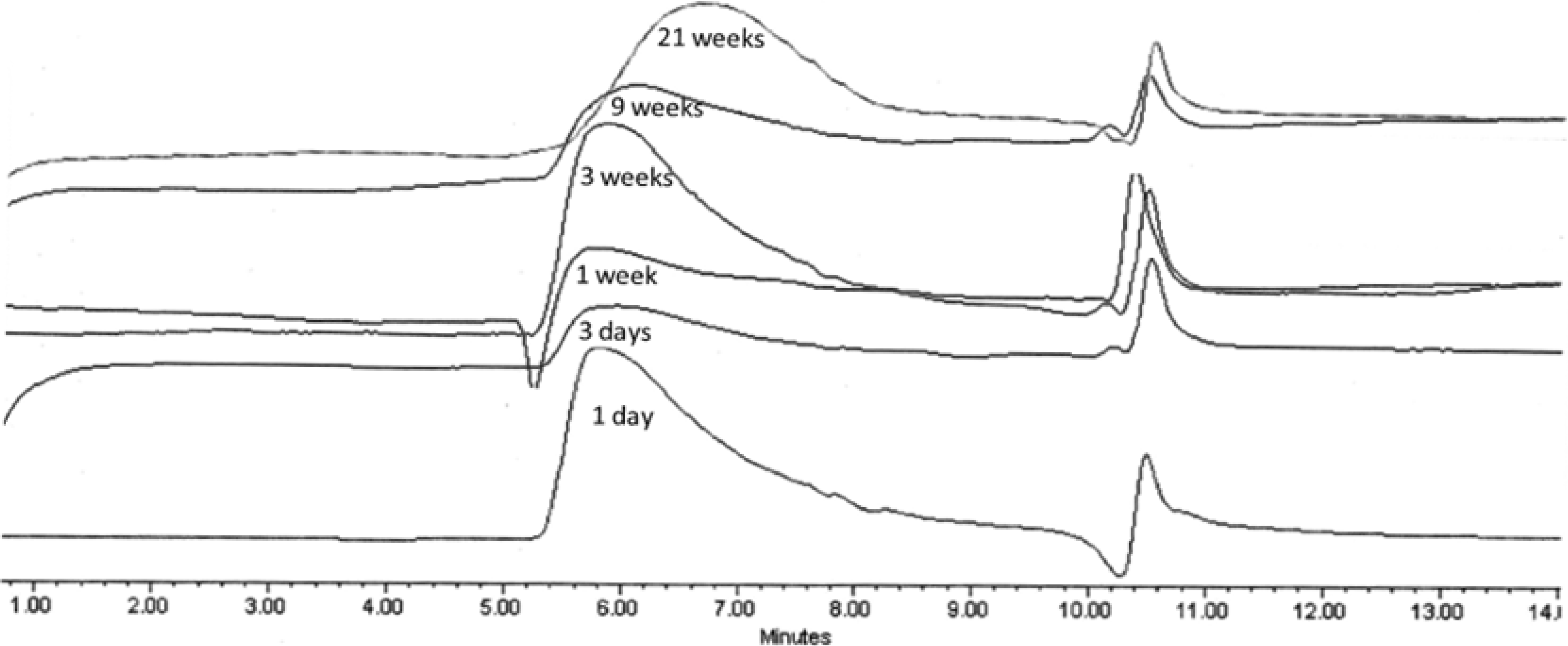 New Nylon Oligomer Degradation 41