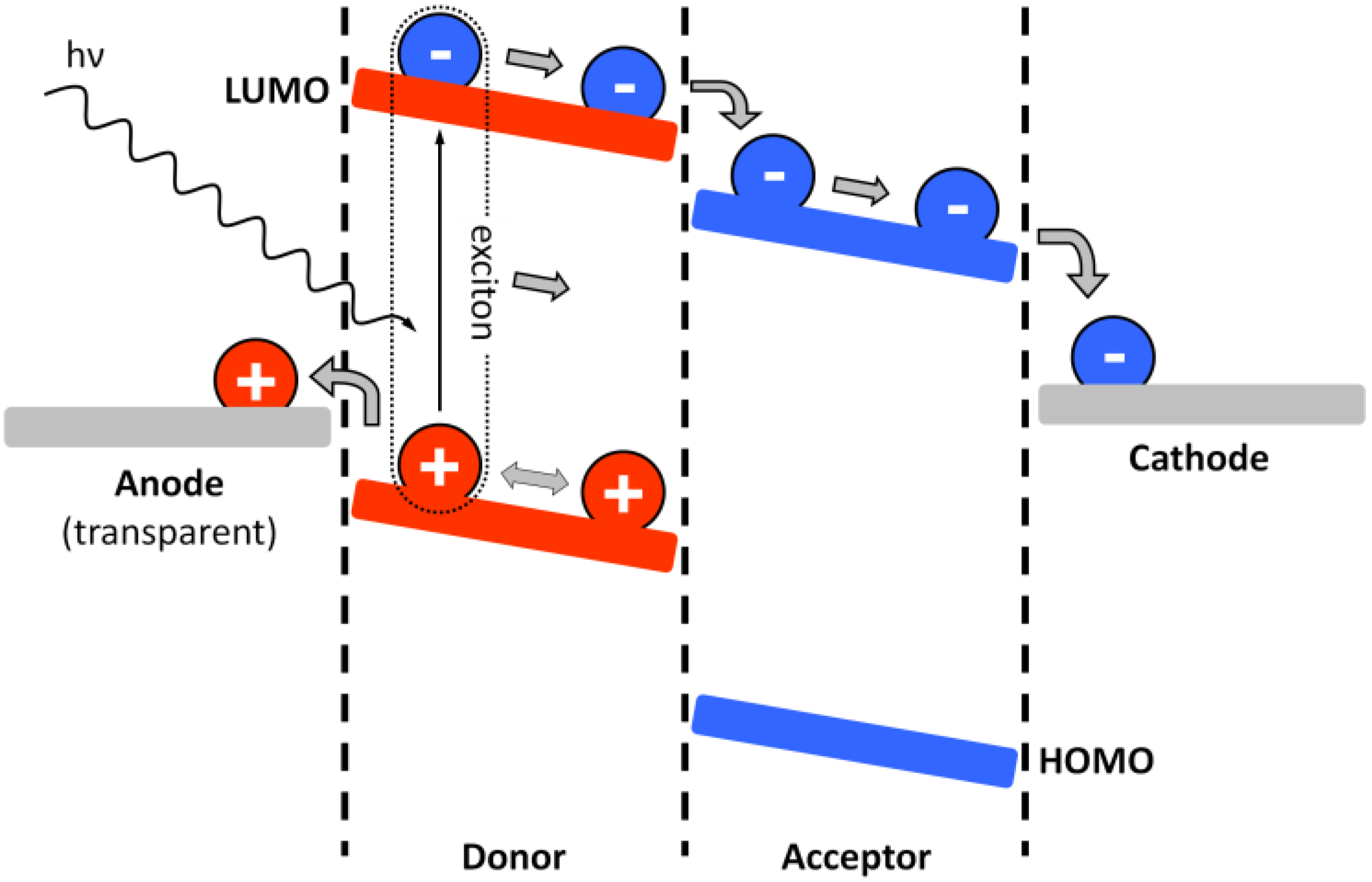 Polymers 02 00470 g003