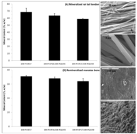 Polymers 03 00010f11 200